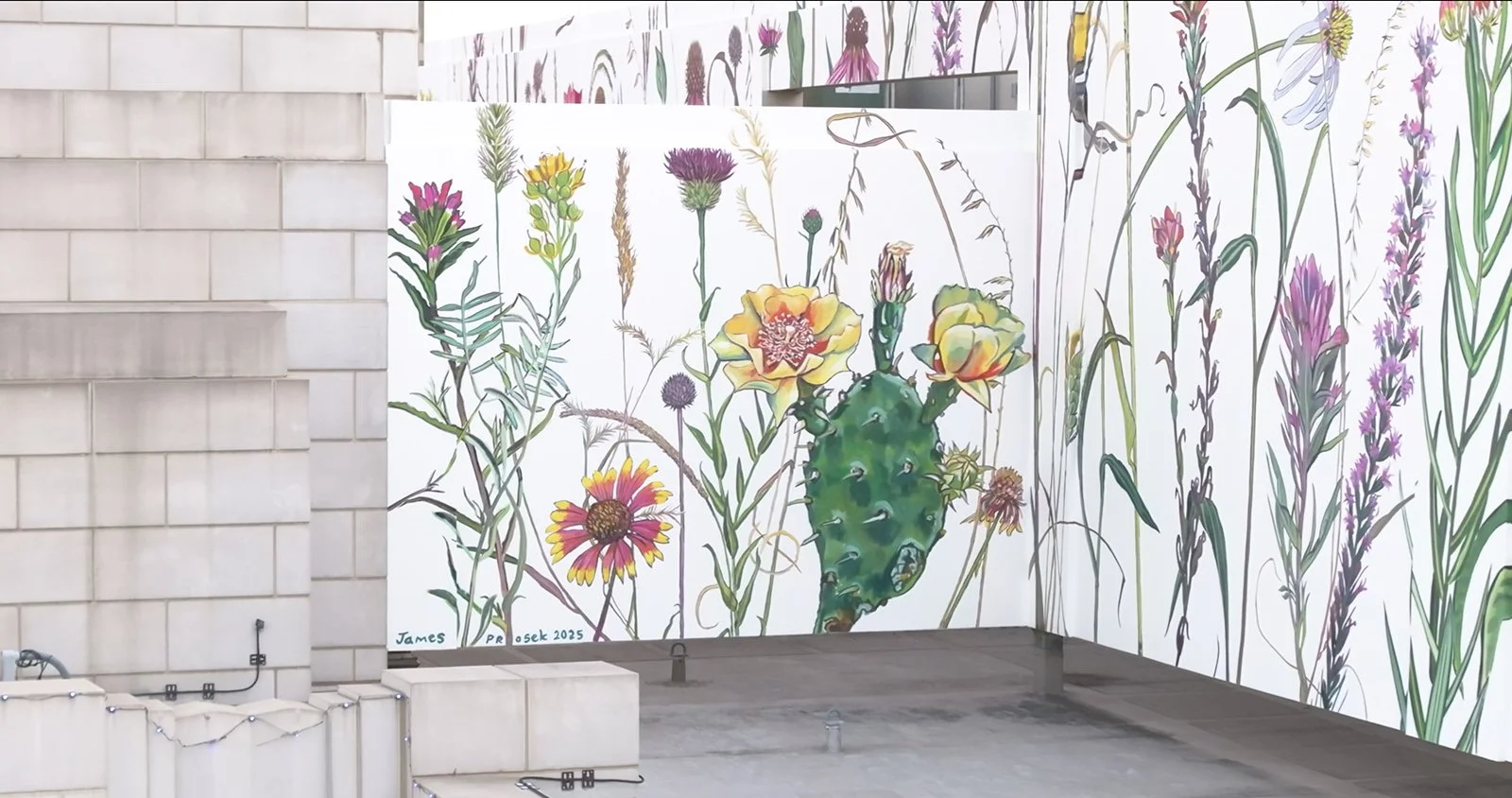 FortWorthMural-inst_13.jpg