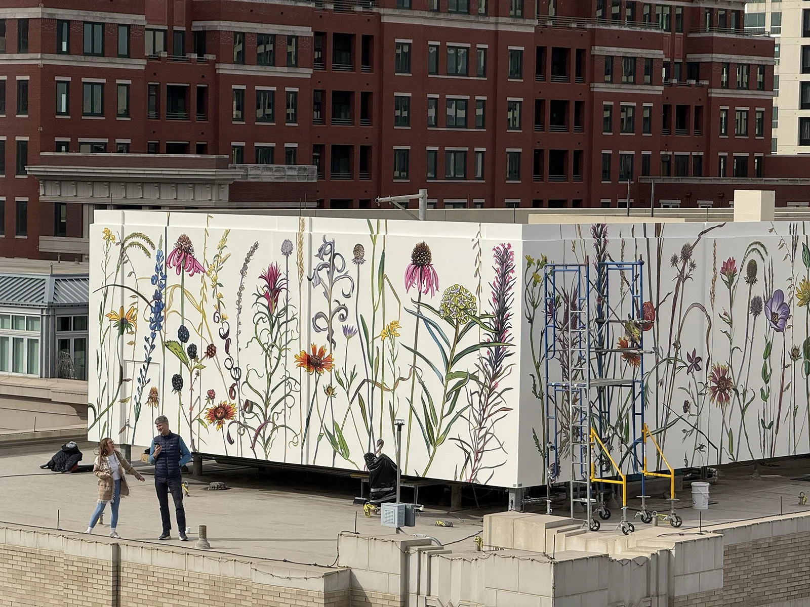 FortWorthMural-inst_01.jpg