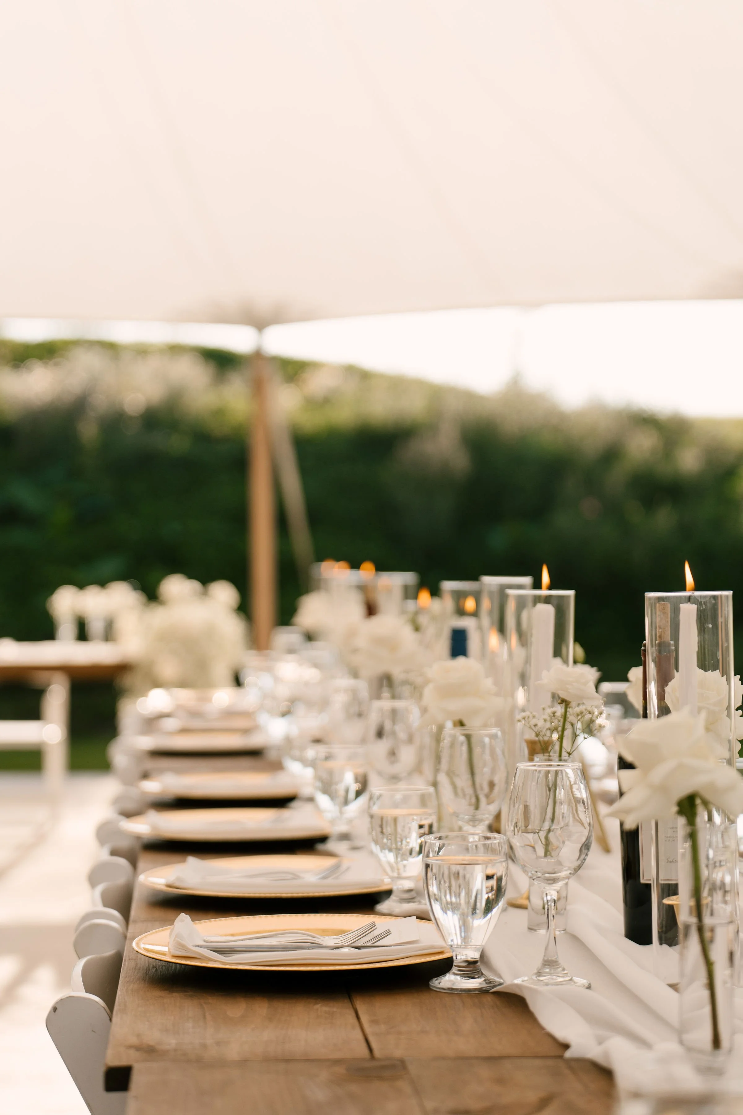 Shannon Ford Photography