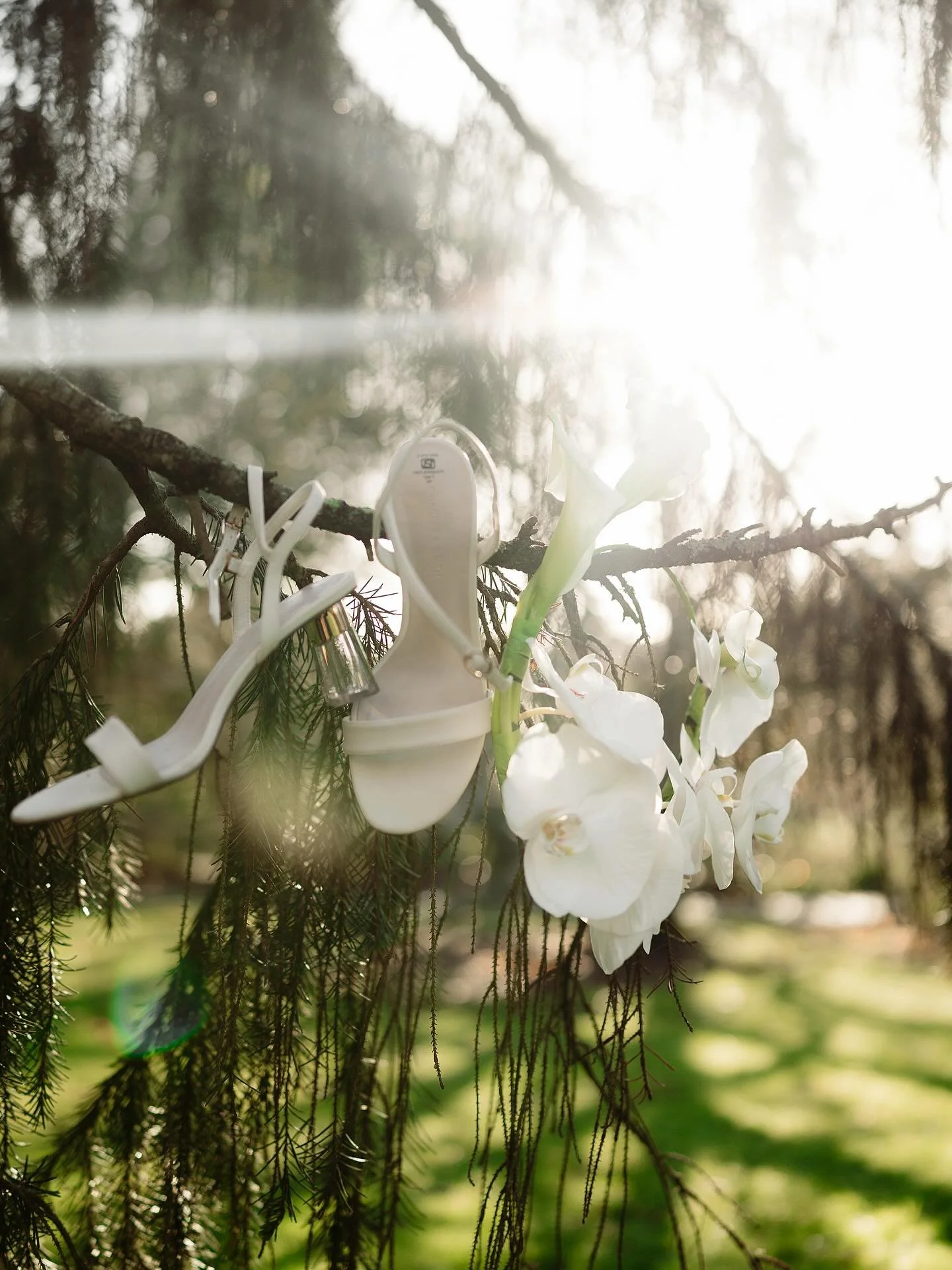 Hello my darlings

I just wanted to pop on and share something very quickly from my personal life and explain the lack of posting the last few weeks, and activity on my instagram as I know and understand the importance of being active and showing the