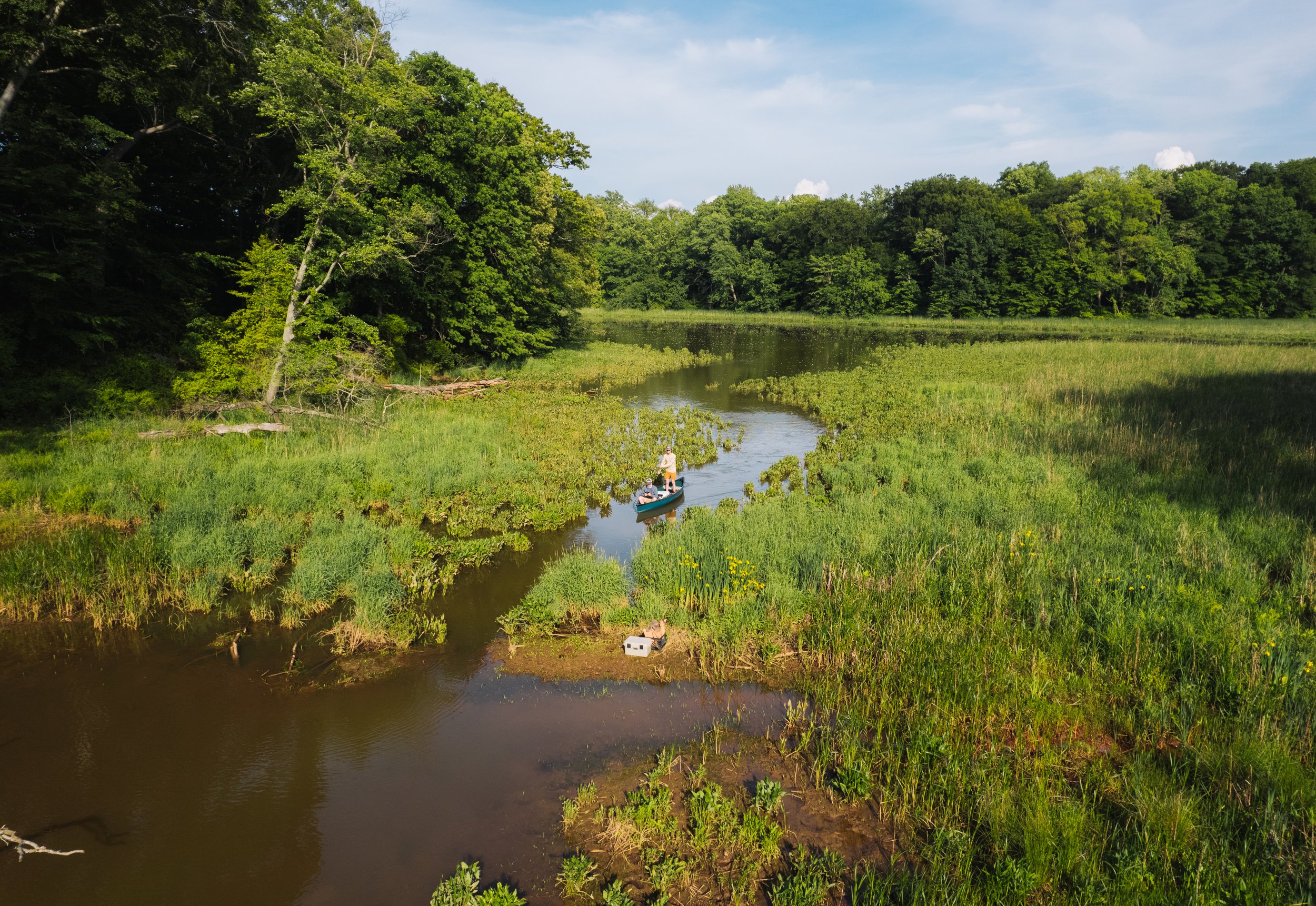 DJI_0442.jpg