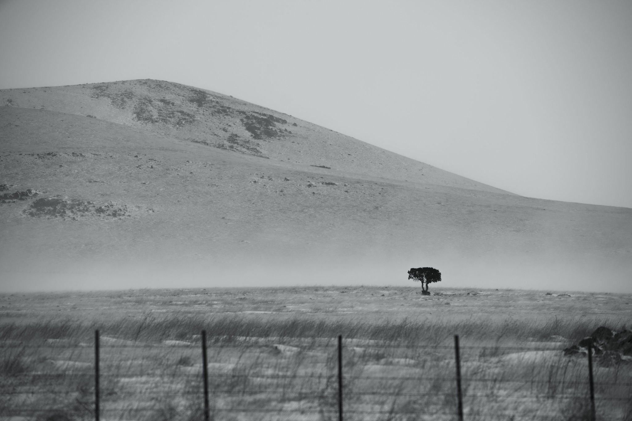 _DSC0727.jpg