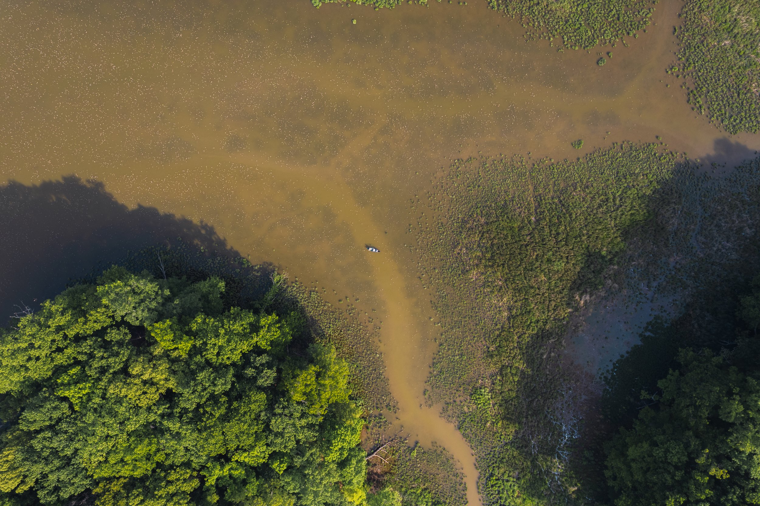 DJI_0439 (1).jpg