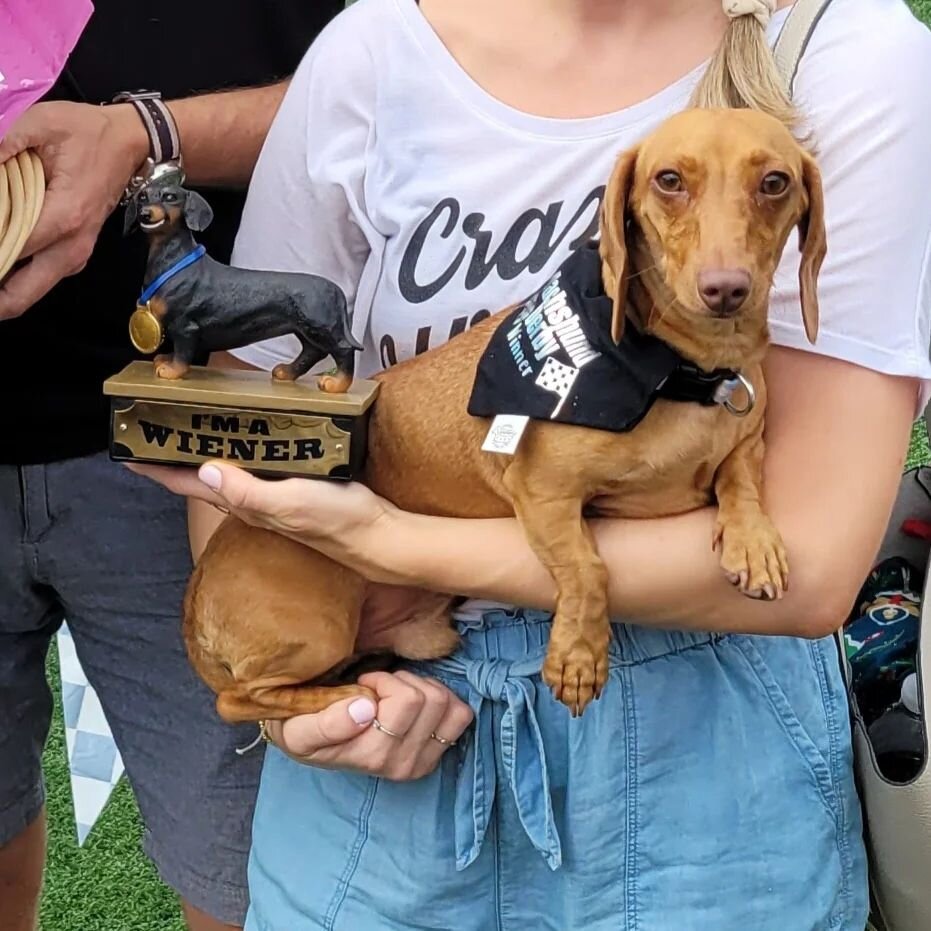 SO MUCH FUN this weekend at the Chicago Dachshund Derby 2022!!! 

Met some new friends and saw some familiar faces who stopped by to support us &amp; the event 🥰 

Big congrats to the Grand Prize Winner, Victor and all bracket winners as well!

All 