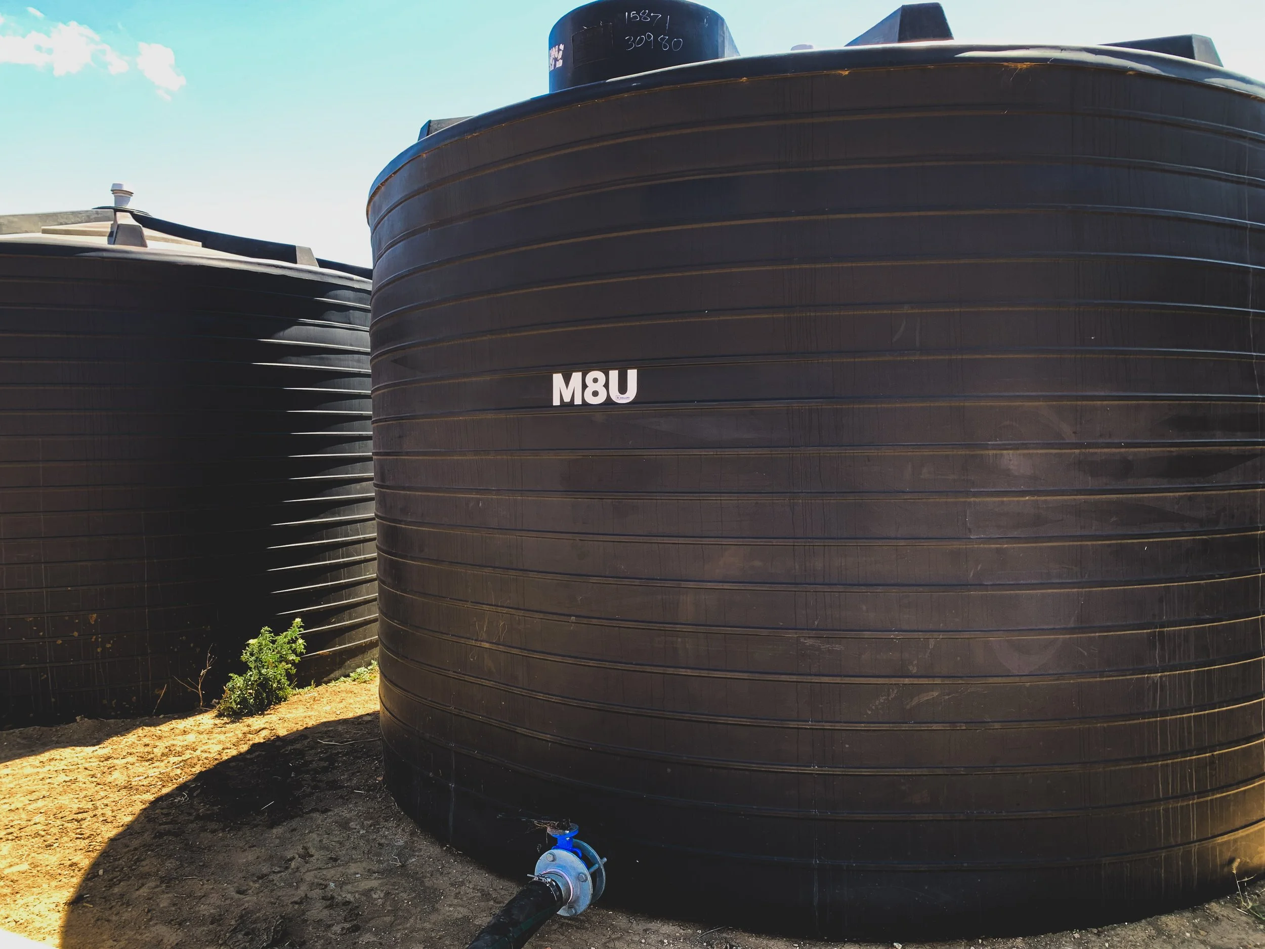 Molasses tank