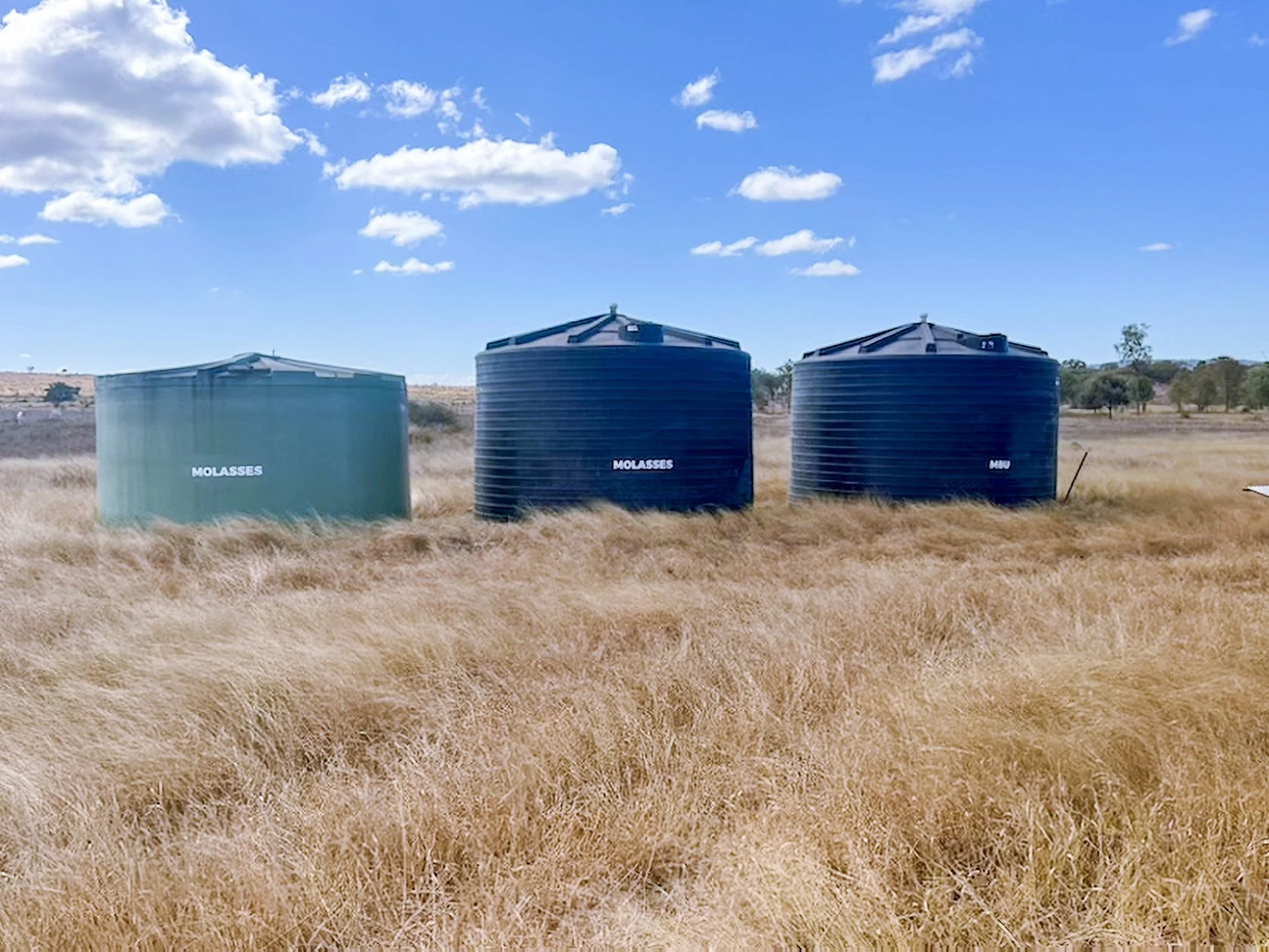Three molasses tanks