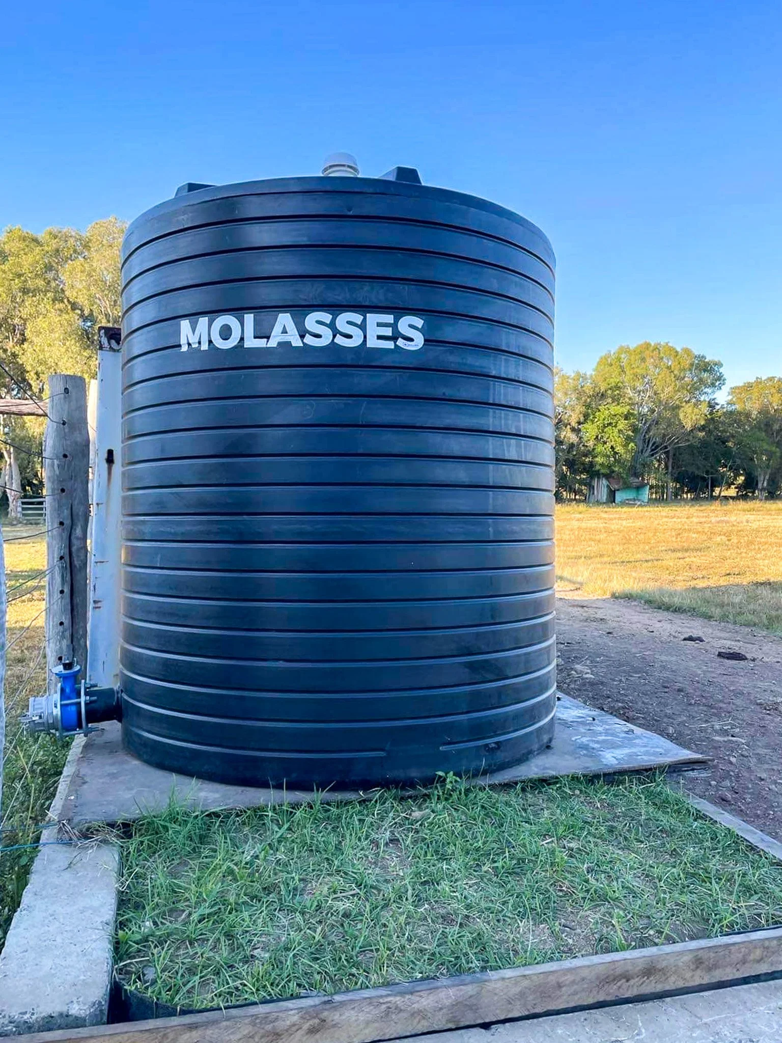 Small tall molasses tank
