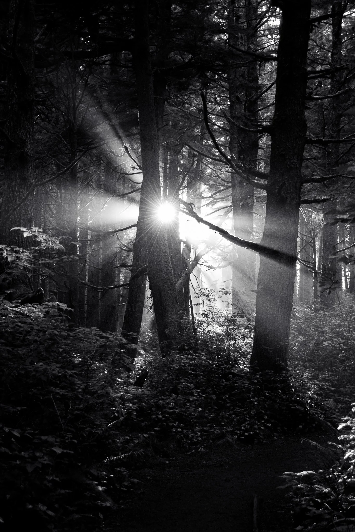 Black and White Wedding Photography: Timeless or Trendy?