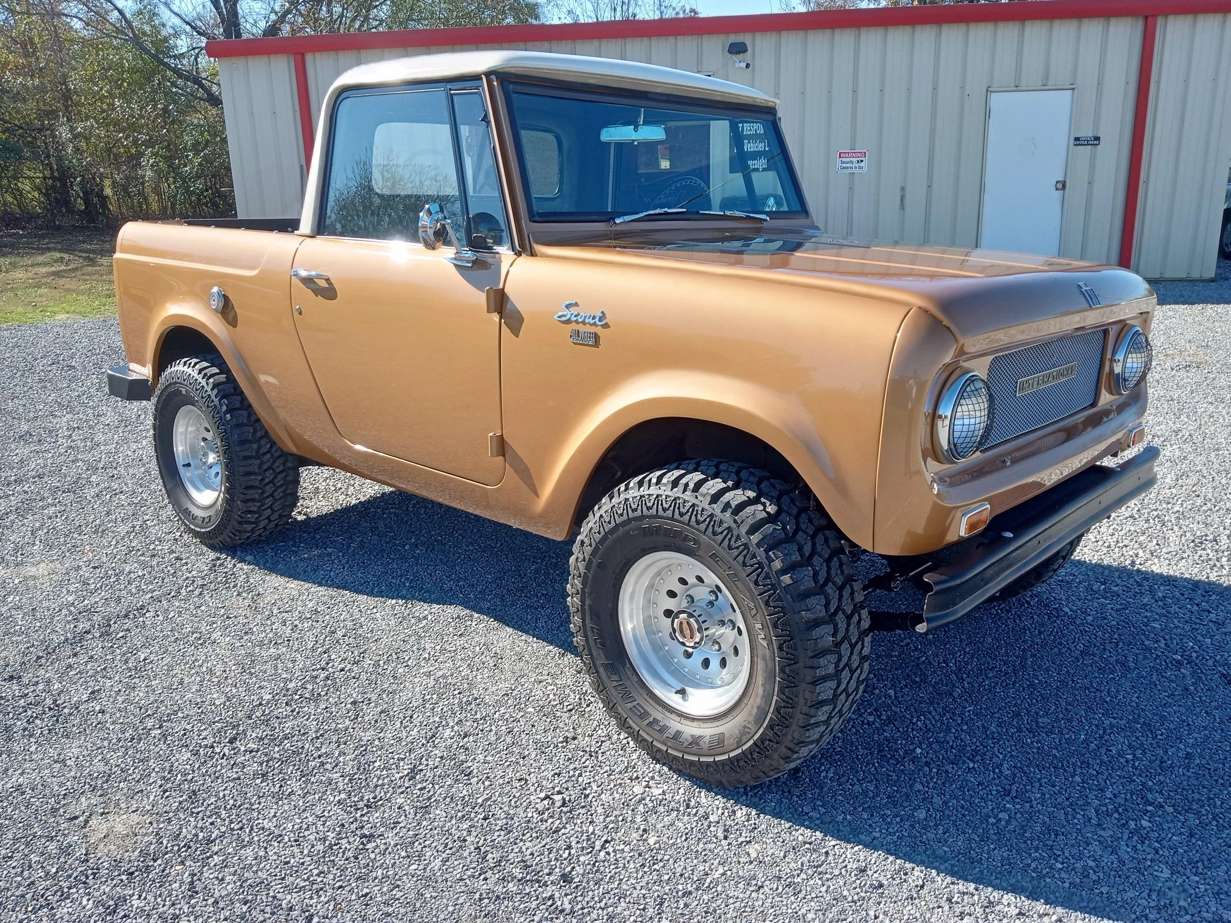 International Scout