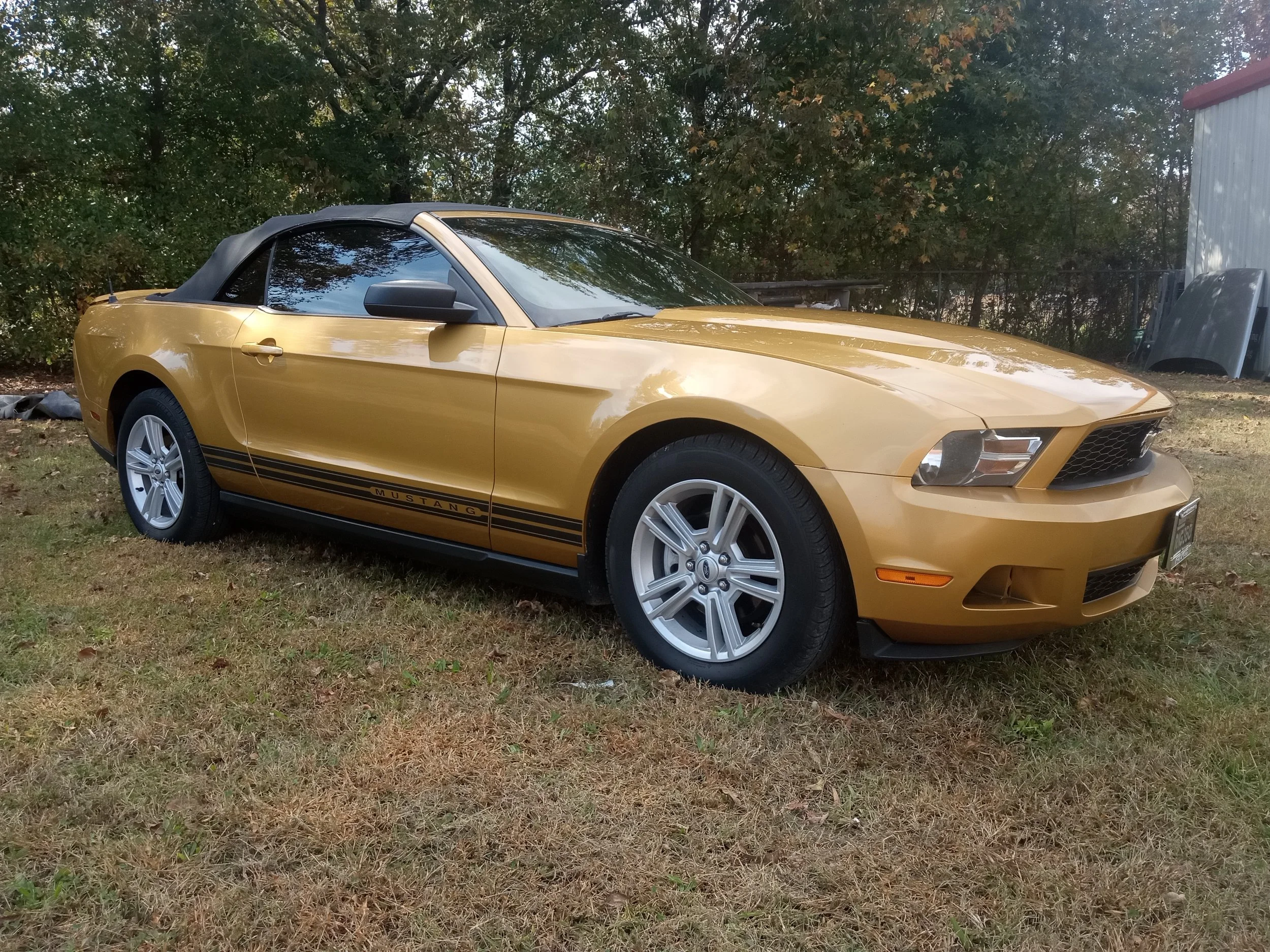 2010 Ford Mustang