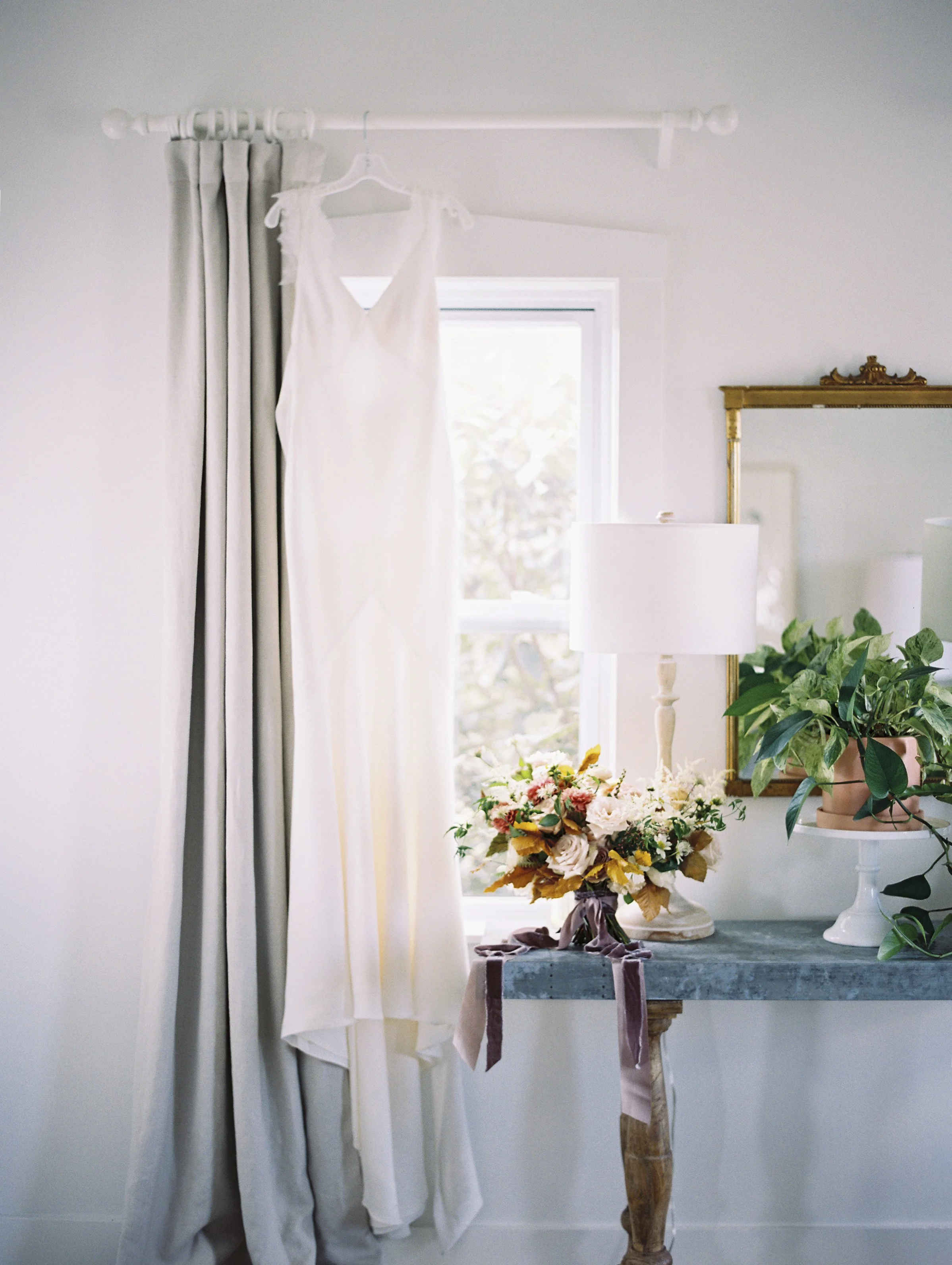 Cottage Photo - plant.jpg