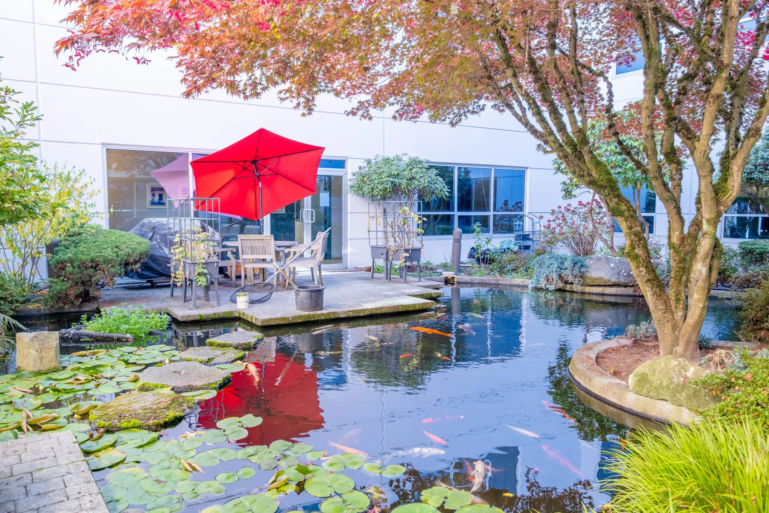 good fish pond.jpg