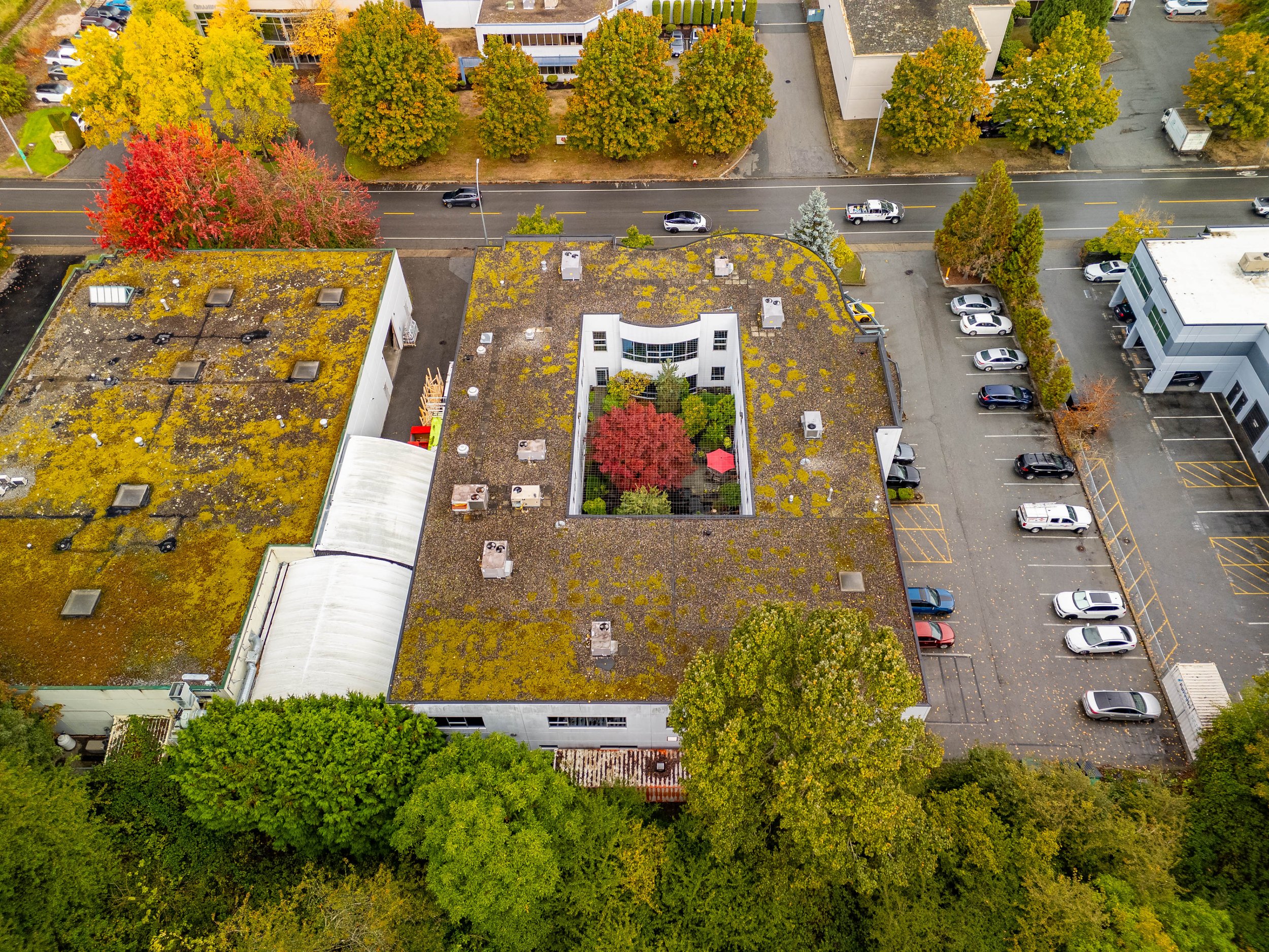 DJI_20261001114605_0136_D-HDR.jpg