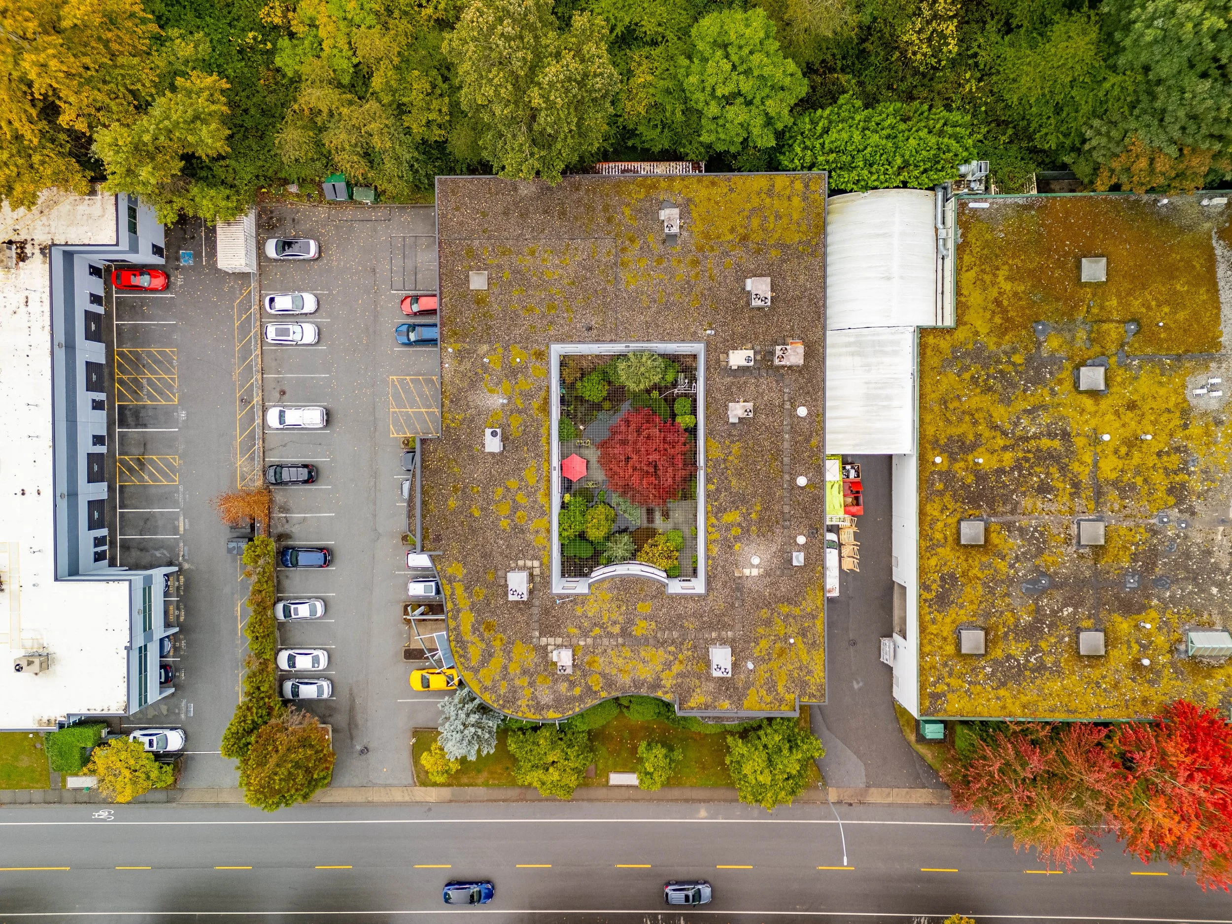 DJI_20261001115116_0244_D-HDR.jpg