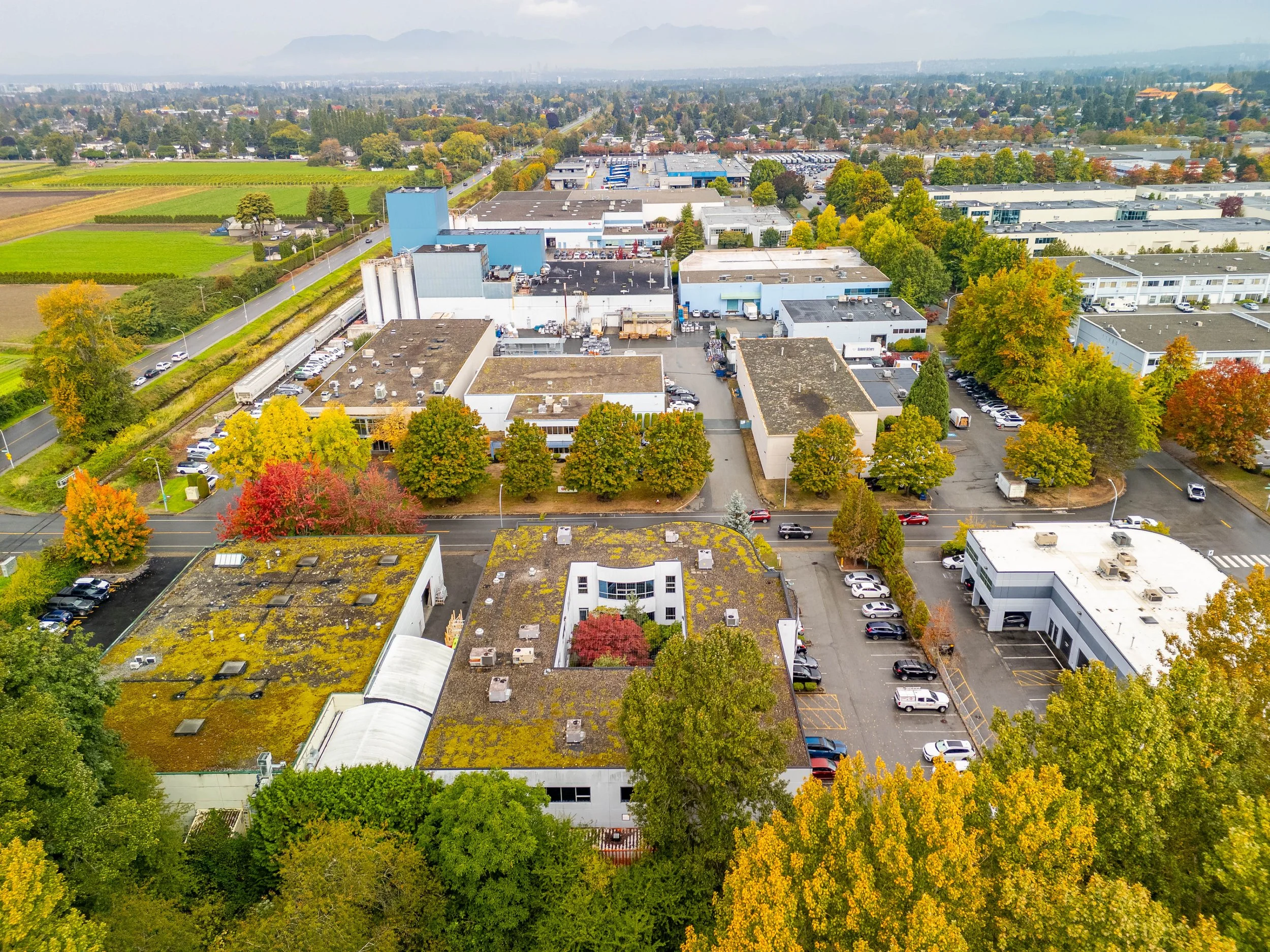 DJI_20261001114615_0139_D-HDR.jpg