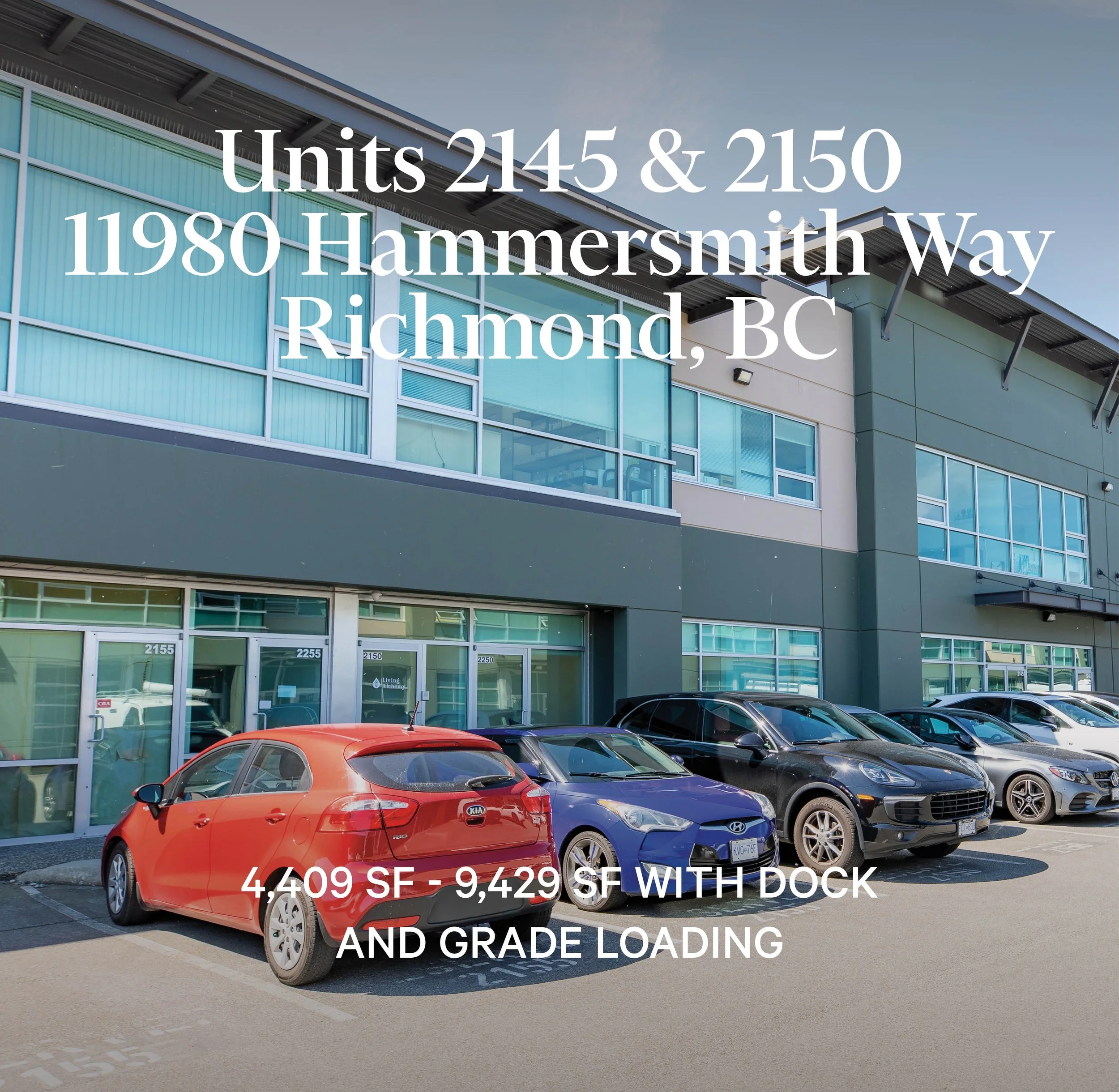 Website Cover.jpg