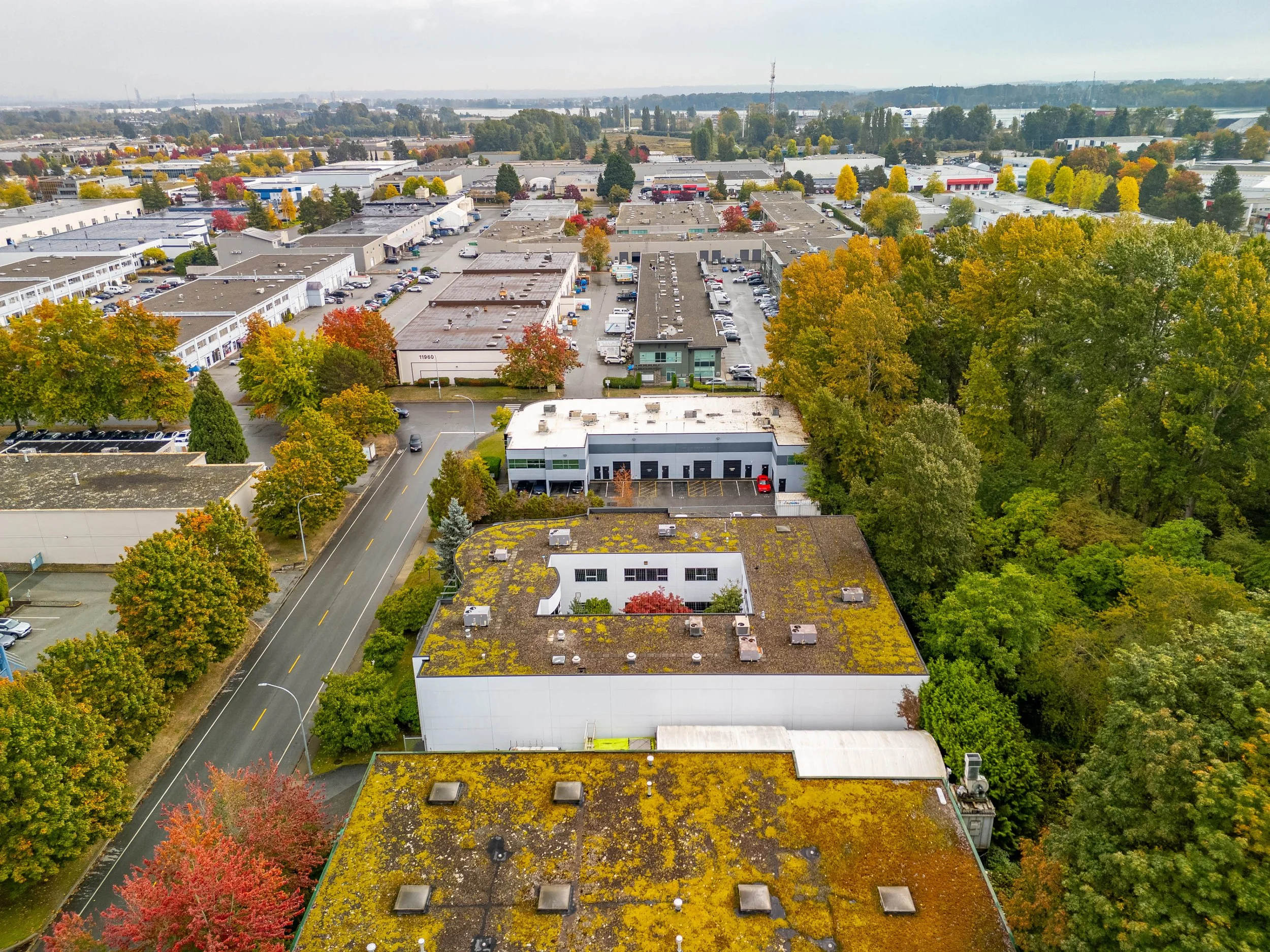 DJI_20261001114501_0115_D-HDR.jpg