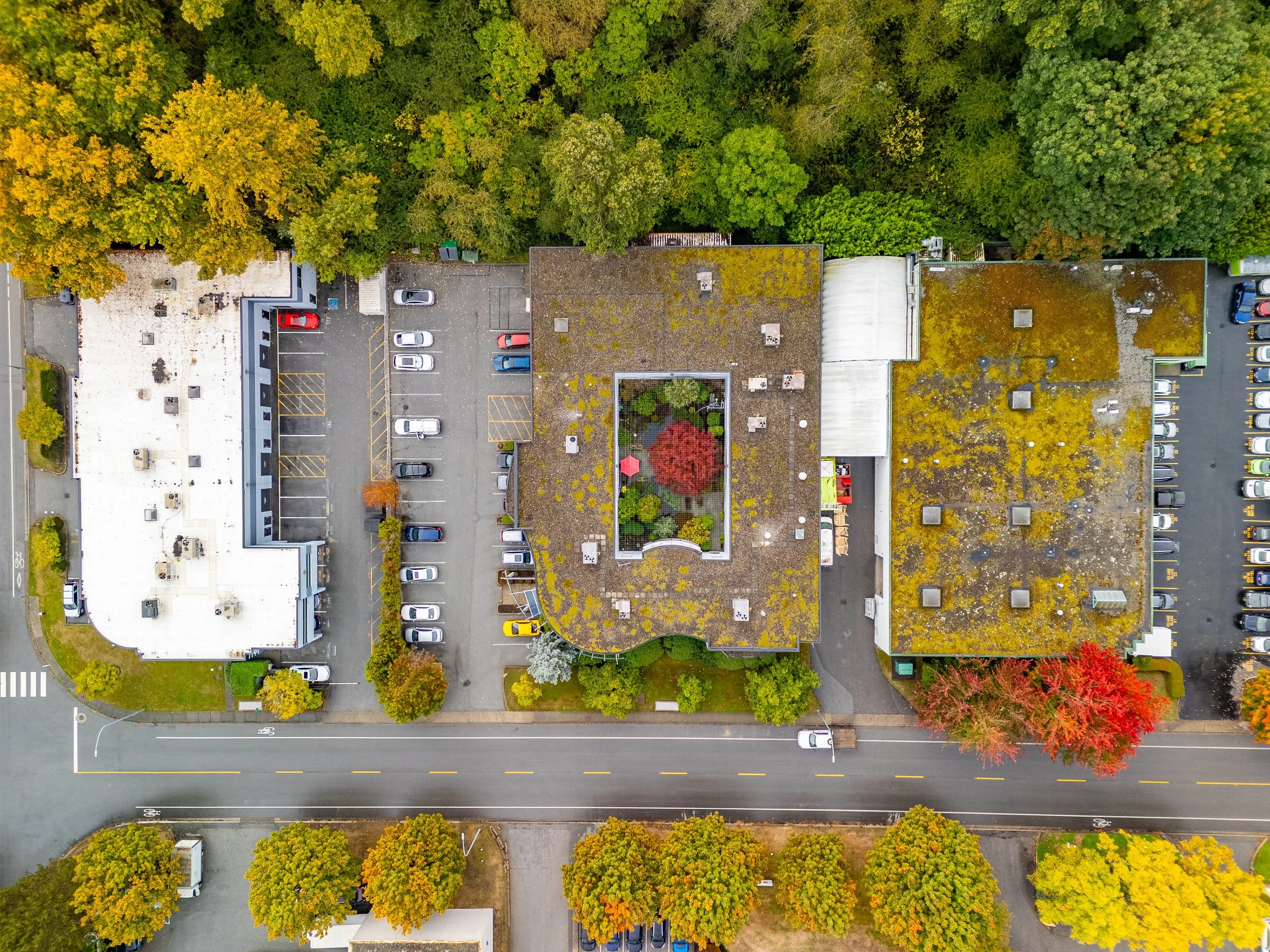 DJI_20261001114309_0079_D-HDR.jpg