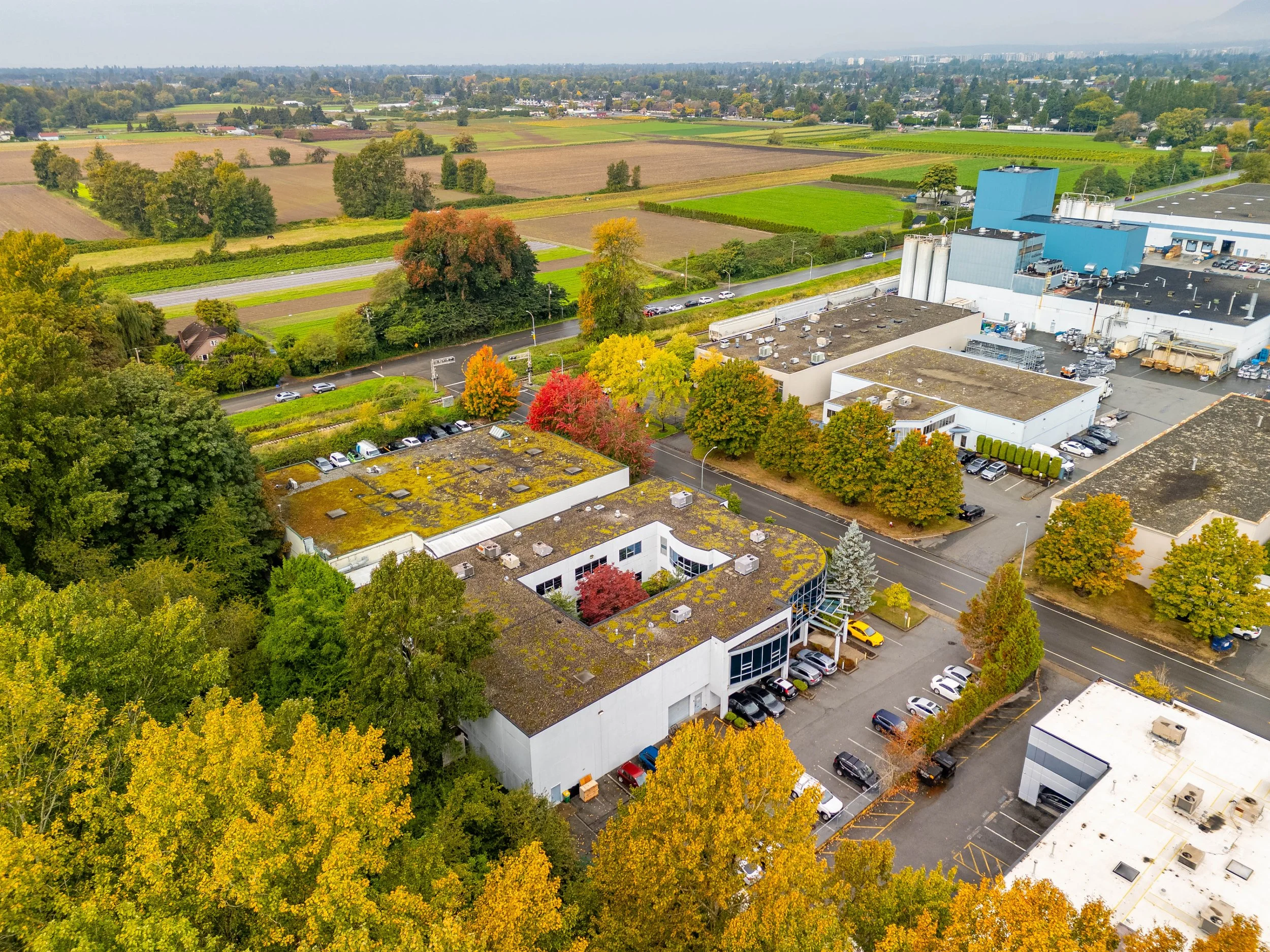 DJI_20261001114651_0151_D-HDR.jpg