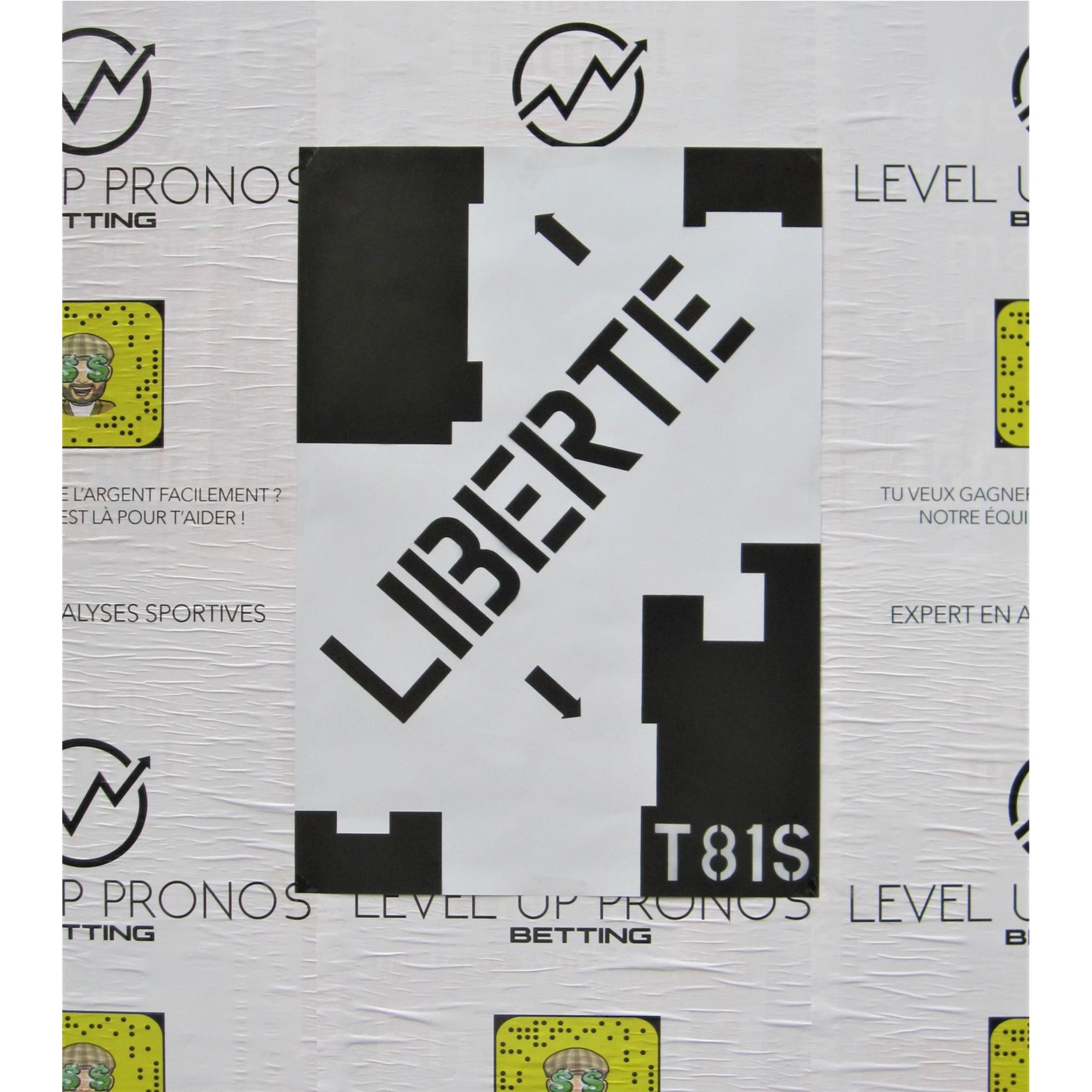 T81S 2021 100 x70 cm affiche