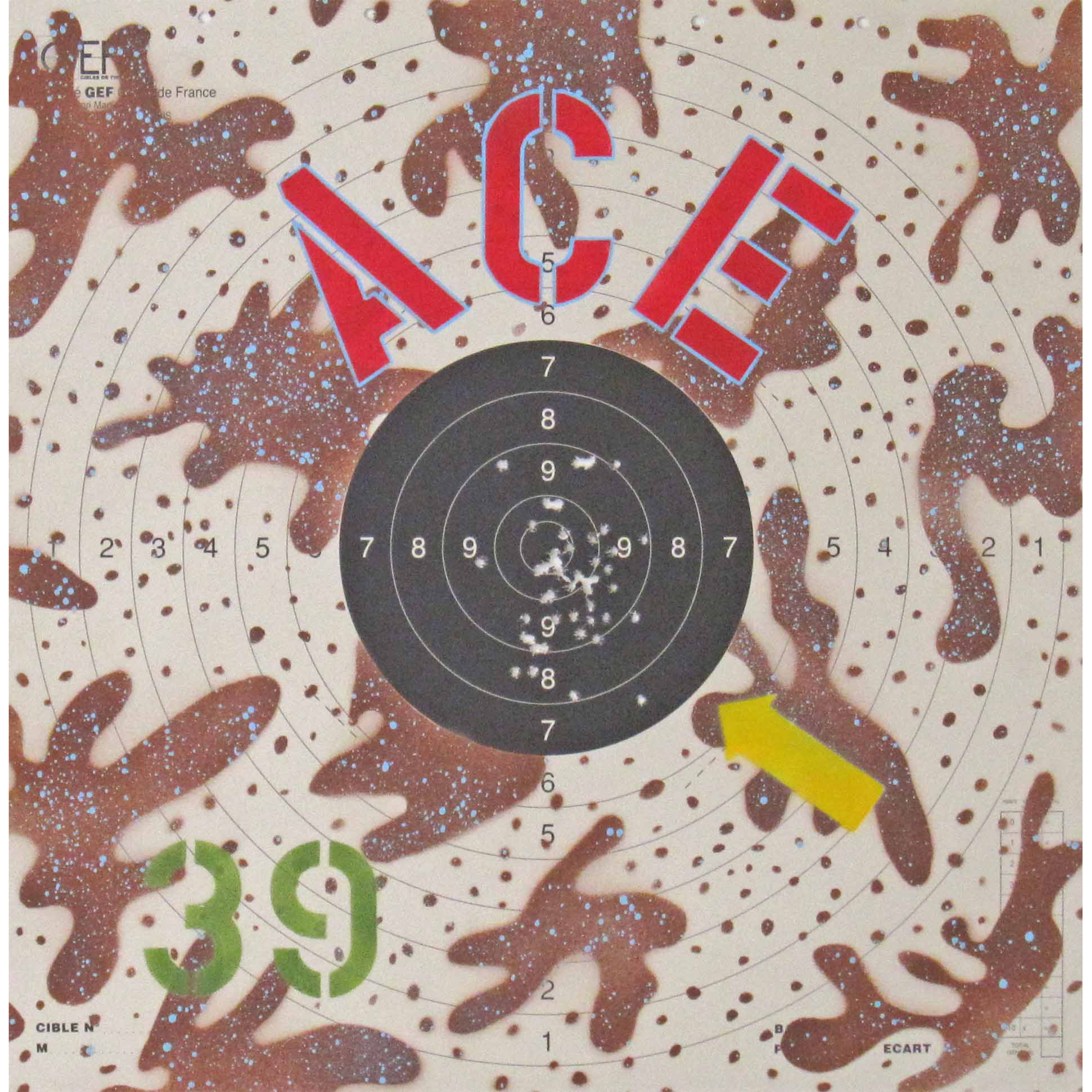 ACE 39 2017 H53 x L52 cm technique mixte sur cible