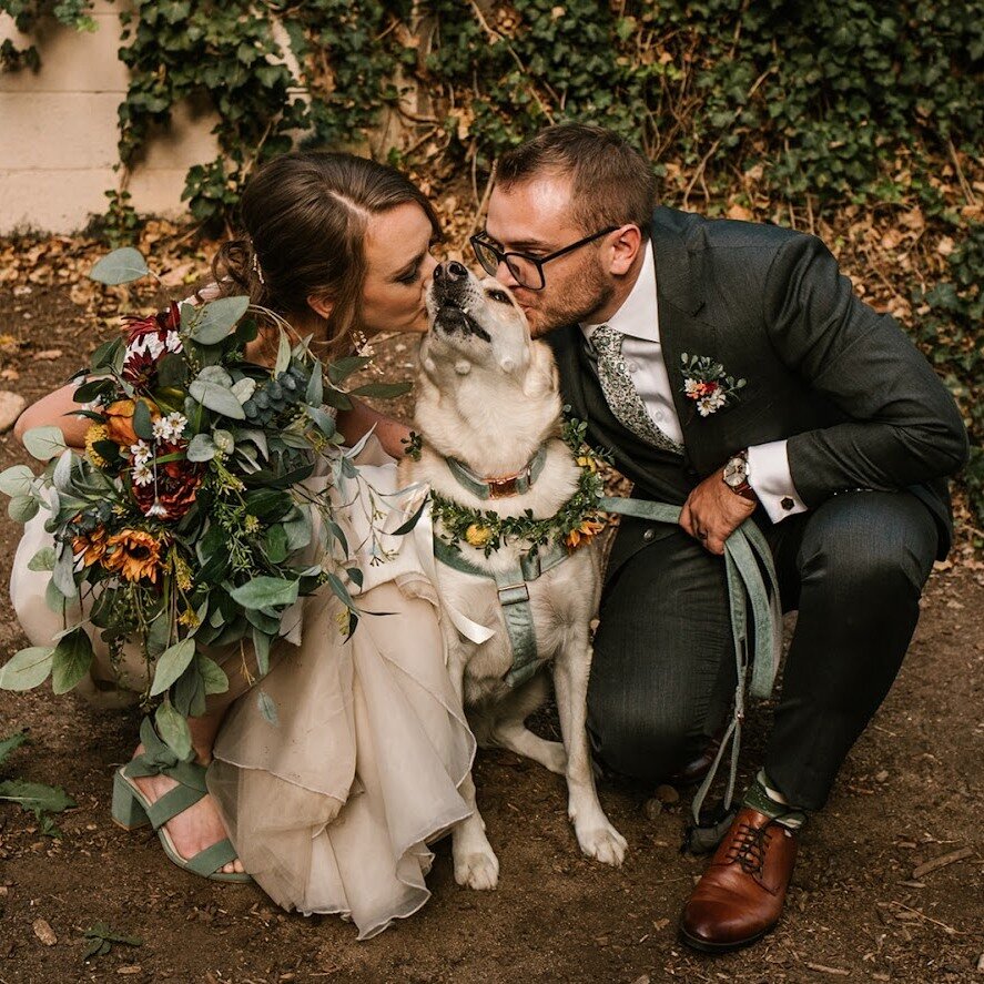 Awwww! The Sweetest Pup! 

Photographer @riseimagesart 
Venue @rembrandtyard 
Catering @sugarpinecatering 
Florals @flintwoodfloral 
DJ @myelitedj 
Cake @makebelievebakery 
Transportation @brewhoptrolley 

#weddingdogs #dogsatweddings #weddingdog #br