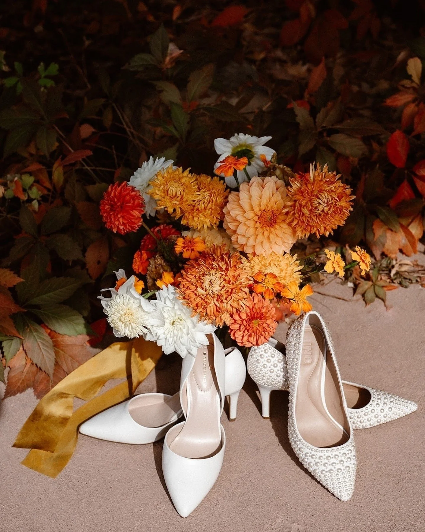 Hello, October 🍁

Photographer @kaytlynperezphotography
Planning + Design @heirloomeventsdesign
Venue @planetbluegrassweddings
DJ @thentertainme
Florals @boulderblooms
Catering @biscuitsandberries
Rentals @eventrents
Hair+Makeup @alchemy_creative
Tr