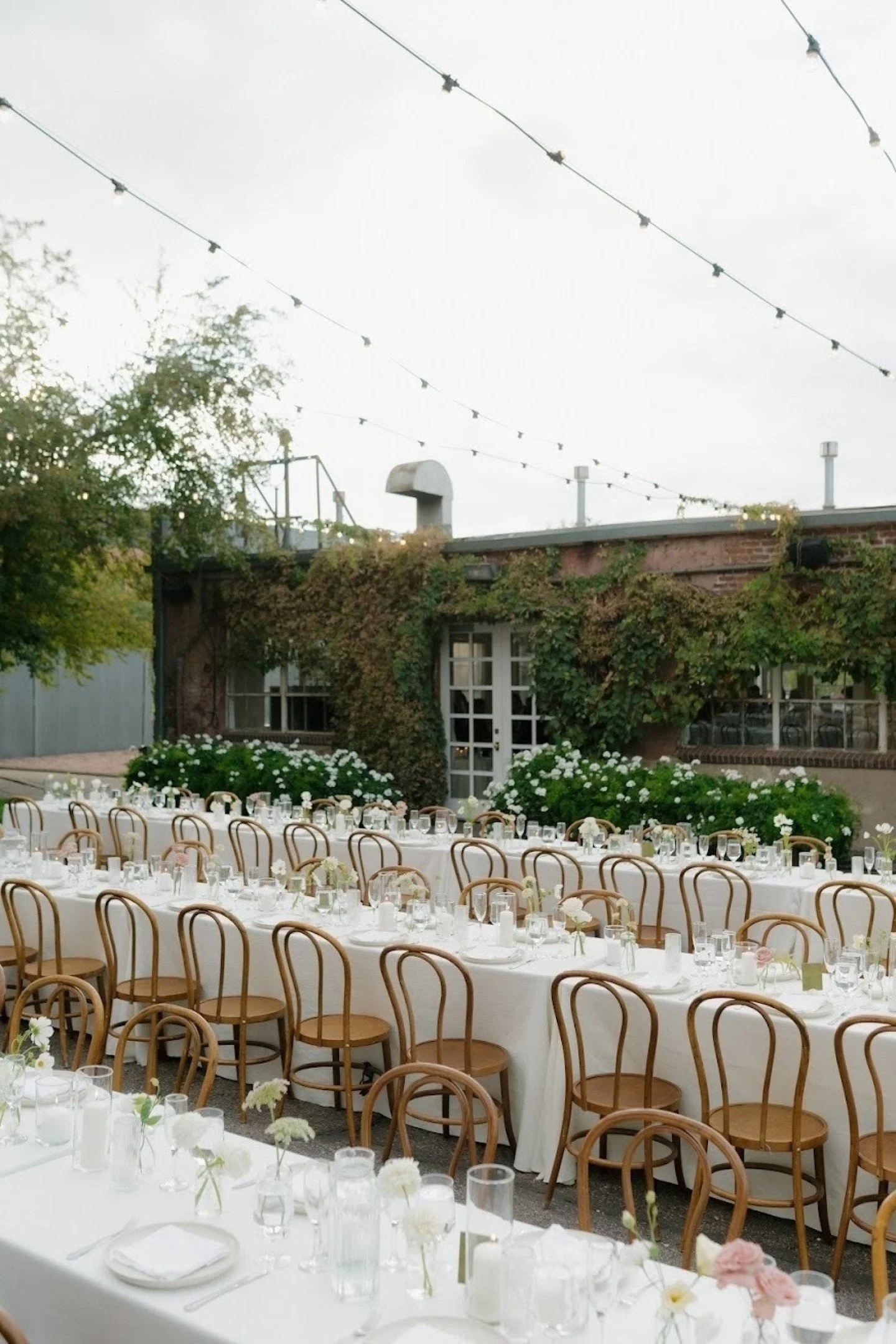 Scenes from a special September day in the city

@heirloomeventsdesign
@blancdenver
@whitneyraephotography
@figment_floral
@sugarpinecatering
@peakbev
@mountainsounddj
@copartyrentals
@love.emily.bakery
@junicoffeecart