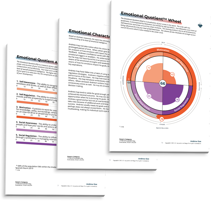 Image EQ Assessment Report.png