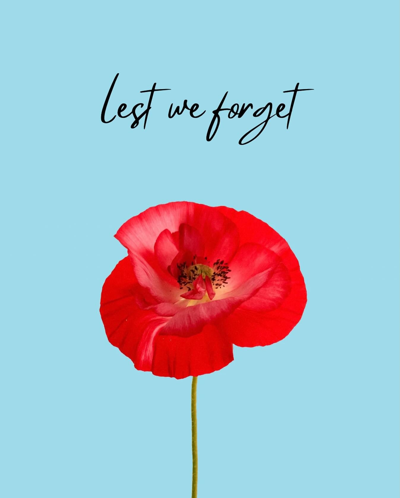 Rememberance Day, pausing and taking a moment to remember those that have served or currently serve and those that are no longer with us #wewillrememberthem #rememberanceday