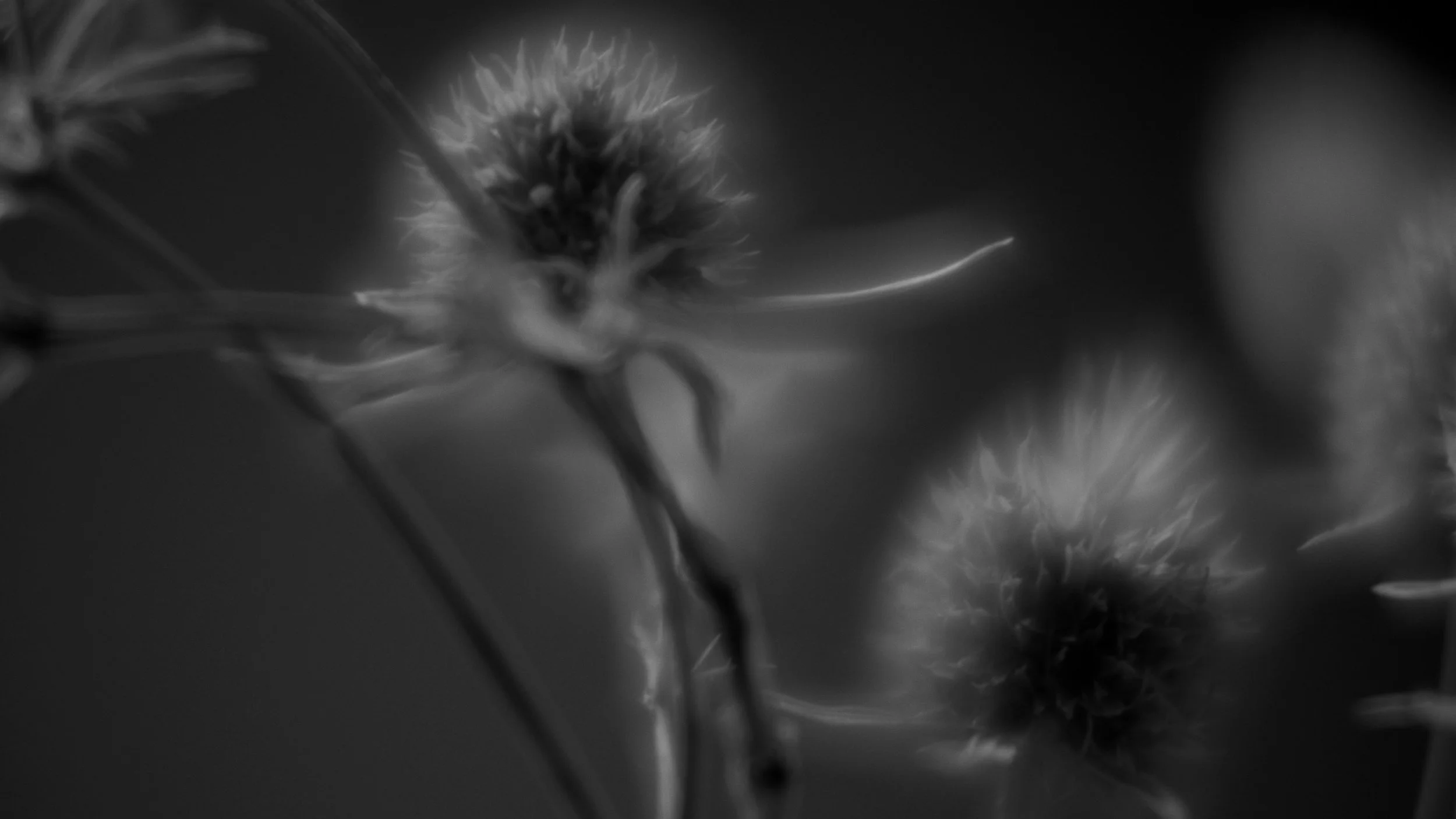 little place draft 43.jpg