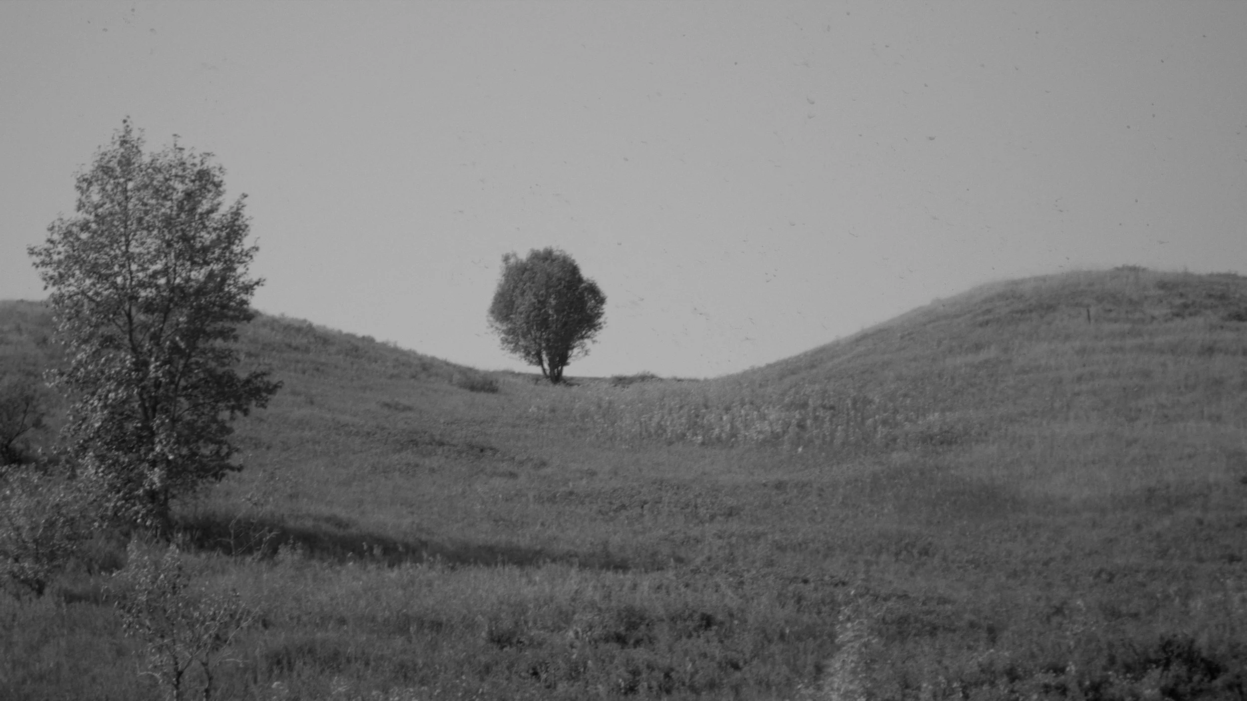 little place draft 14.jpg