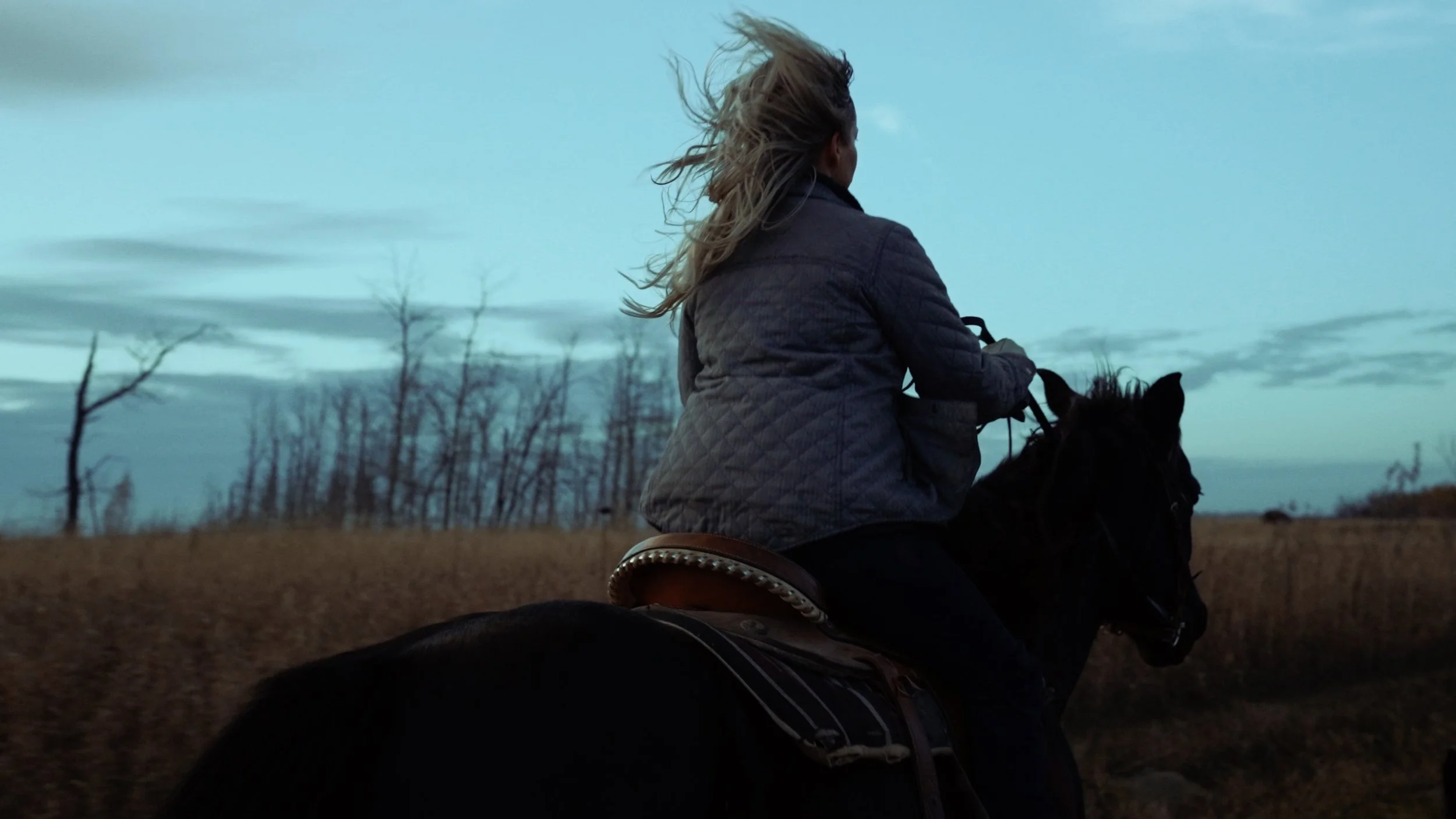 what did you do with love today.jpg