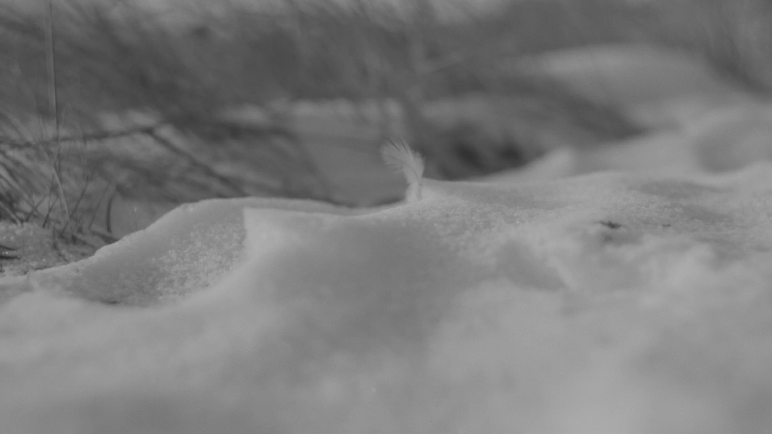 little place draft 37.jpg