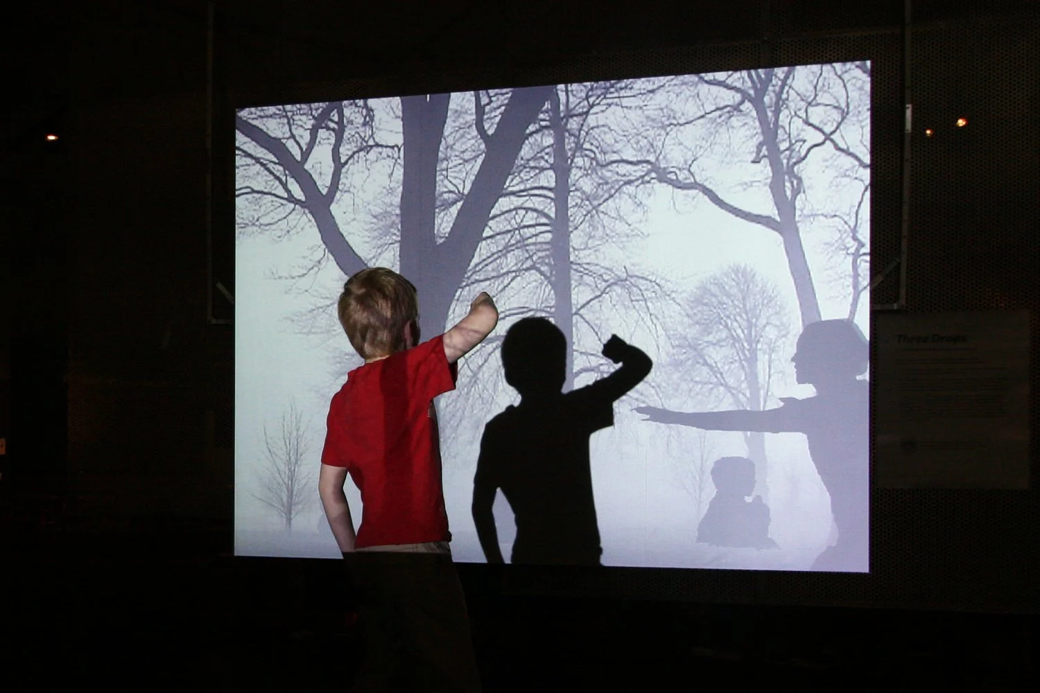 image-asset (19).jpeg