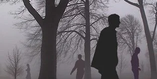 Make Like a Tree (2006)