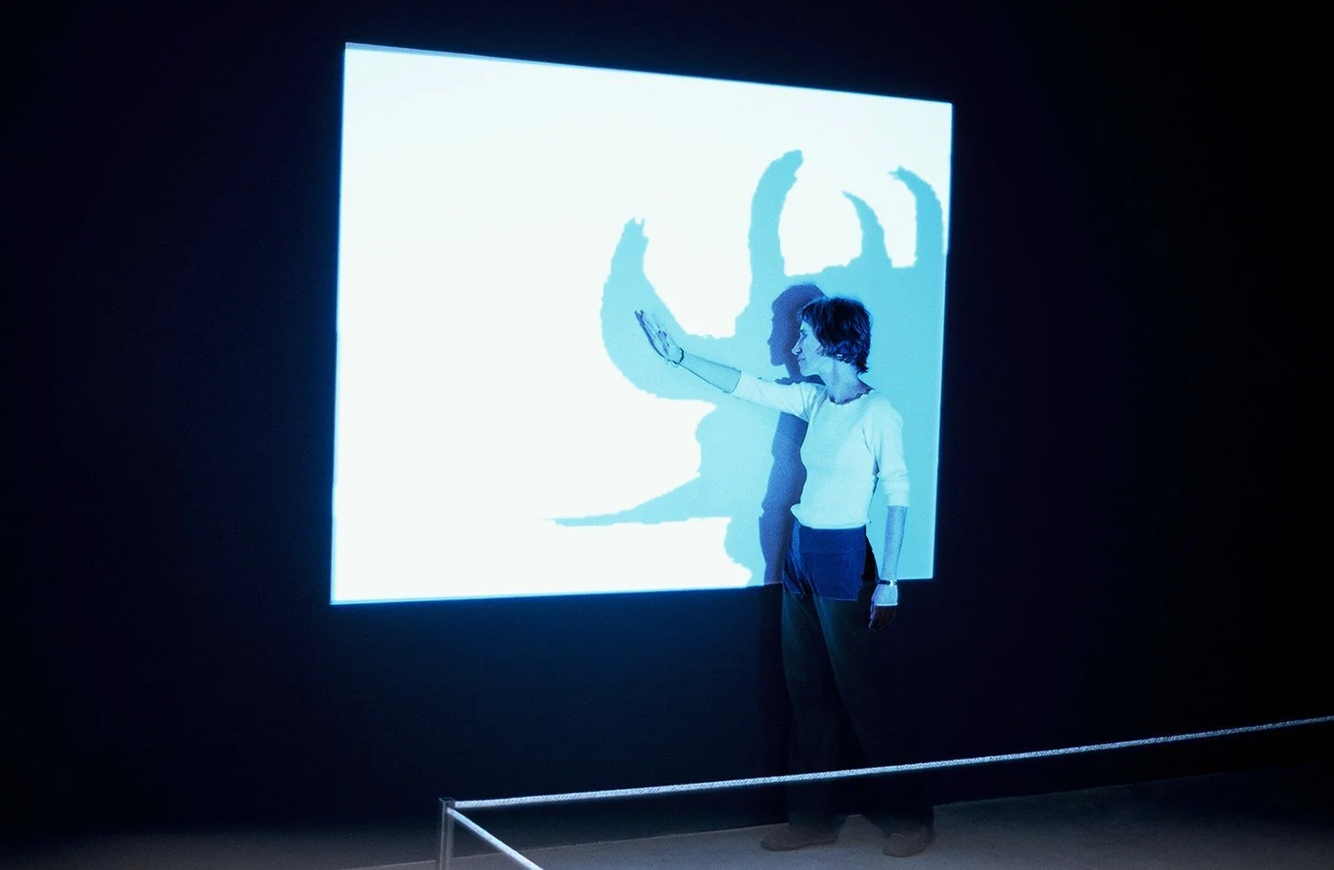 image-asset (2).jpeg