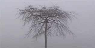 All Futures That Could Possibly Be (2007)