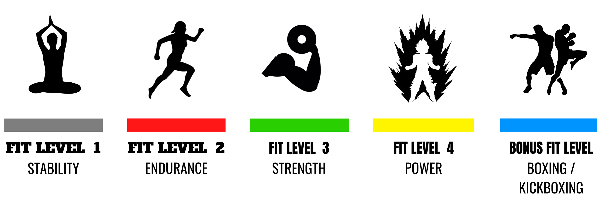 Fit Level Sanctify Fitpros
