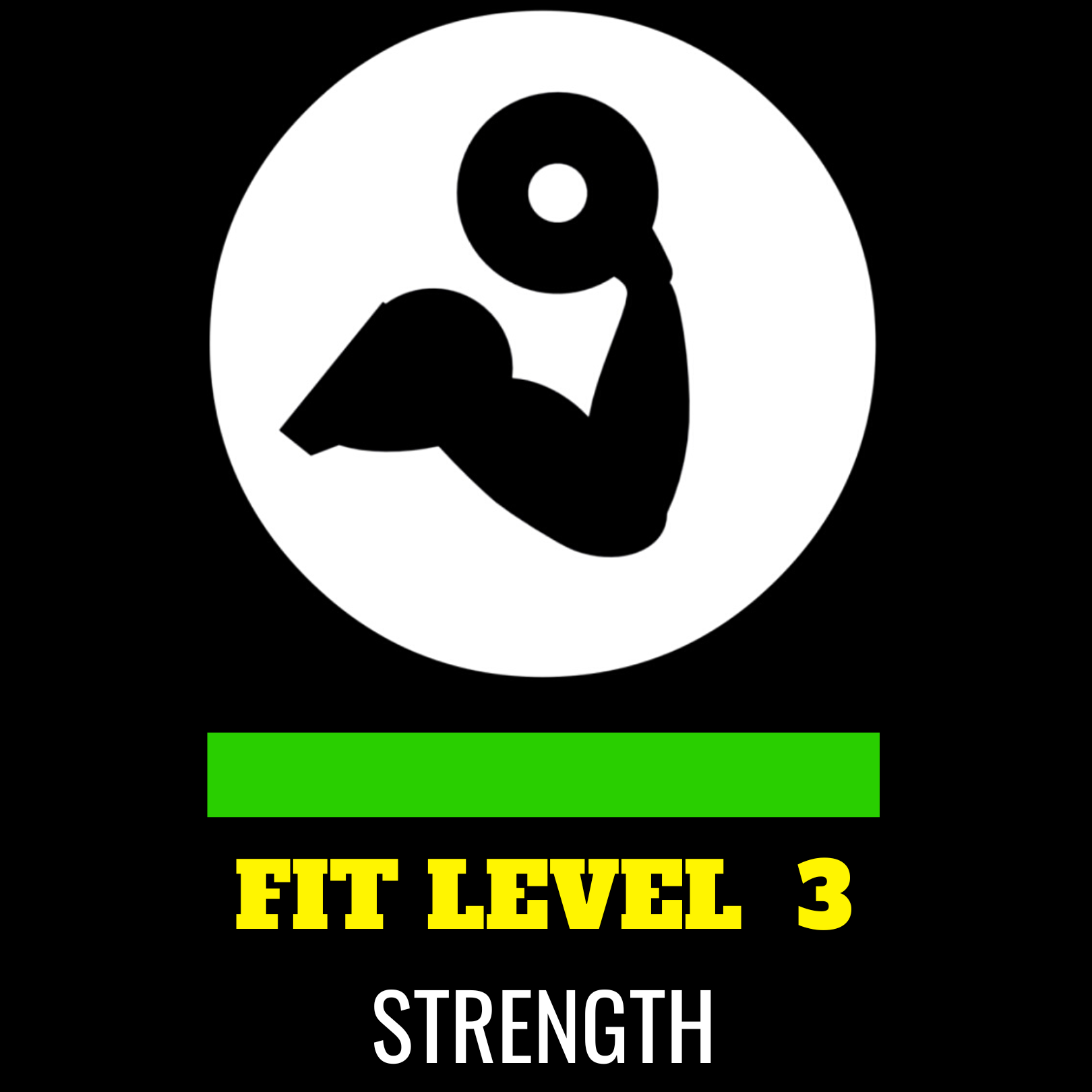 Fit Level Sanctify Fitpros