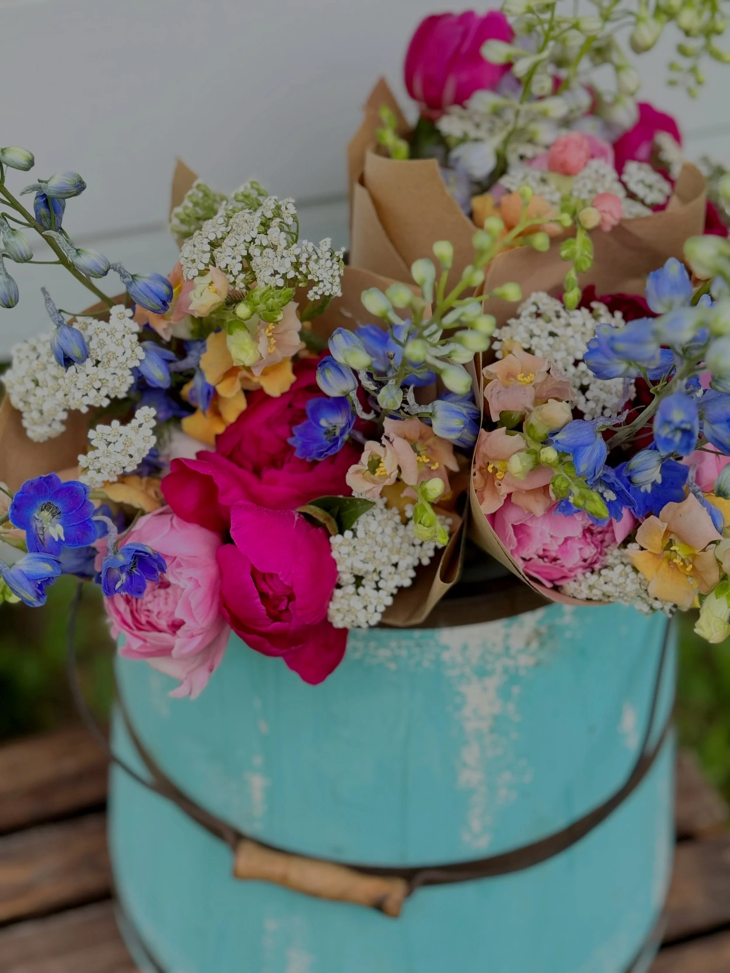 Farm Friends Subscription