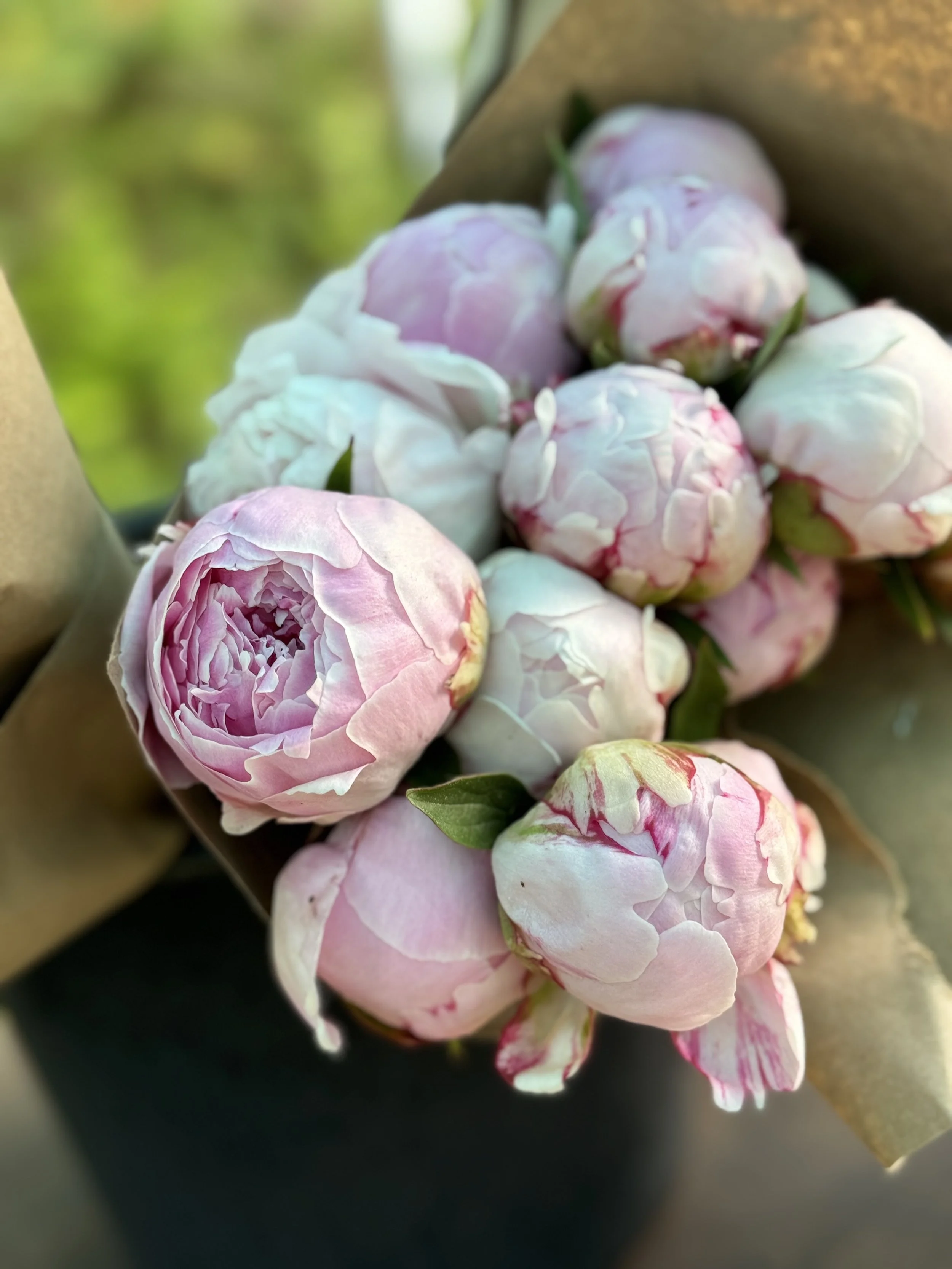Peony Subscription