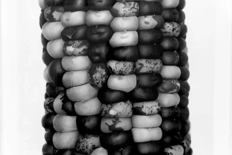 CORN
