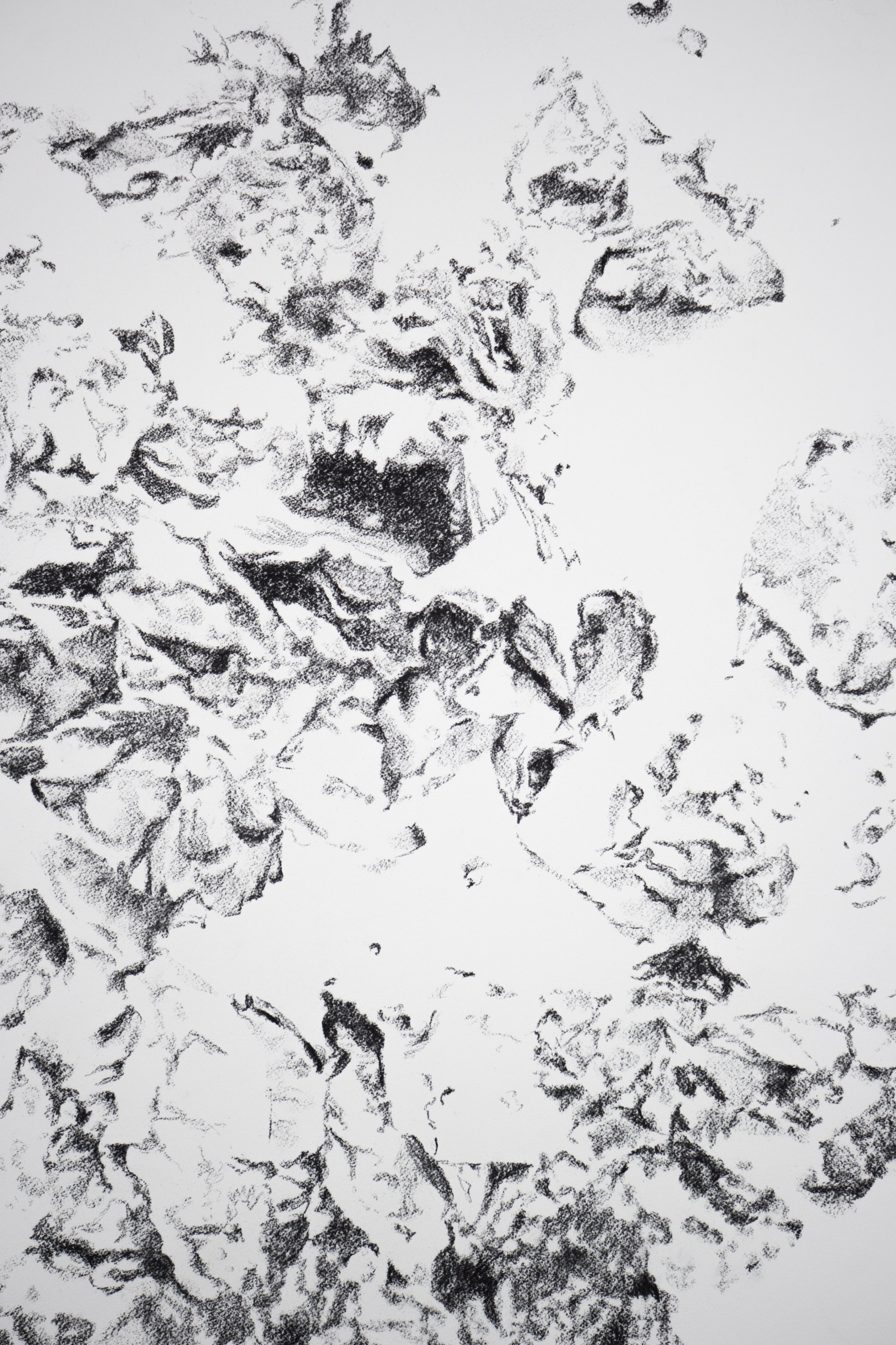 detail, F2721, Charcoal on paper, 72" x 48" x 1.5", 2021