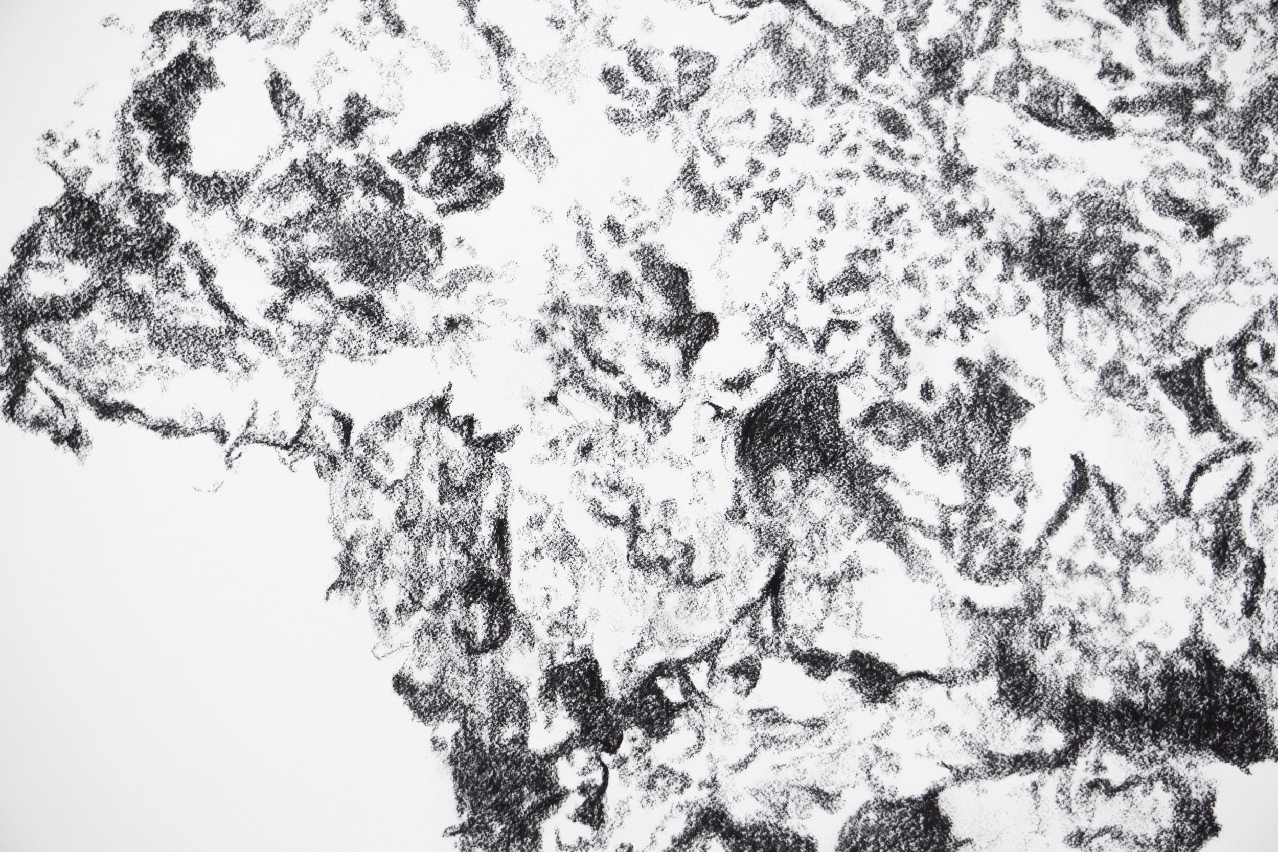 detail, F2721, Charcoal on paper, 72" x 48" x 1.5", 2021