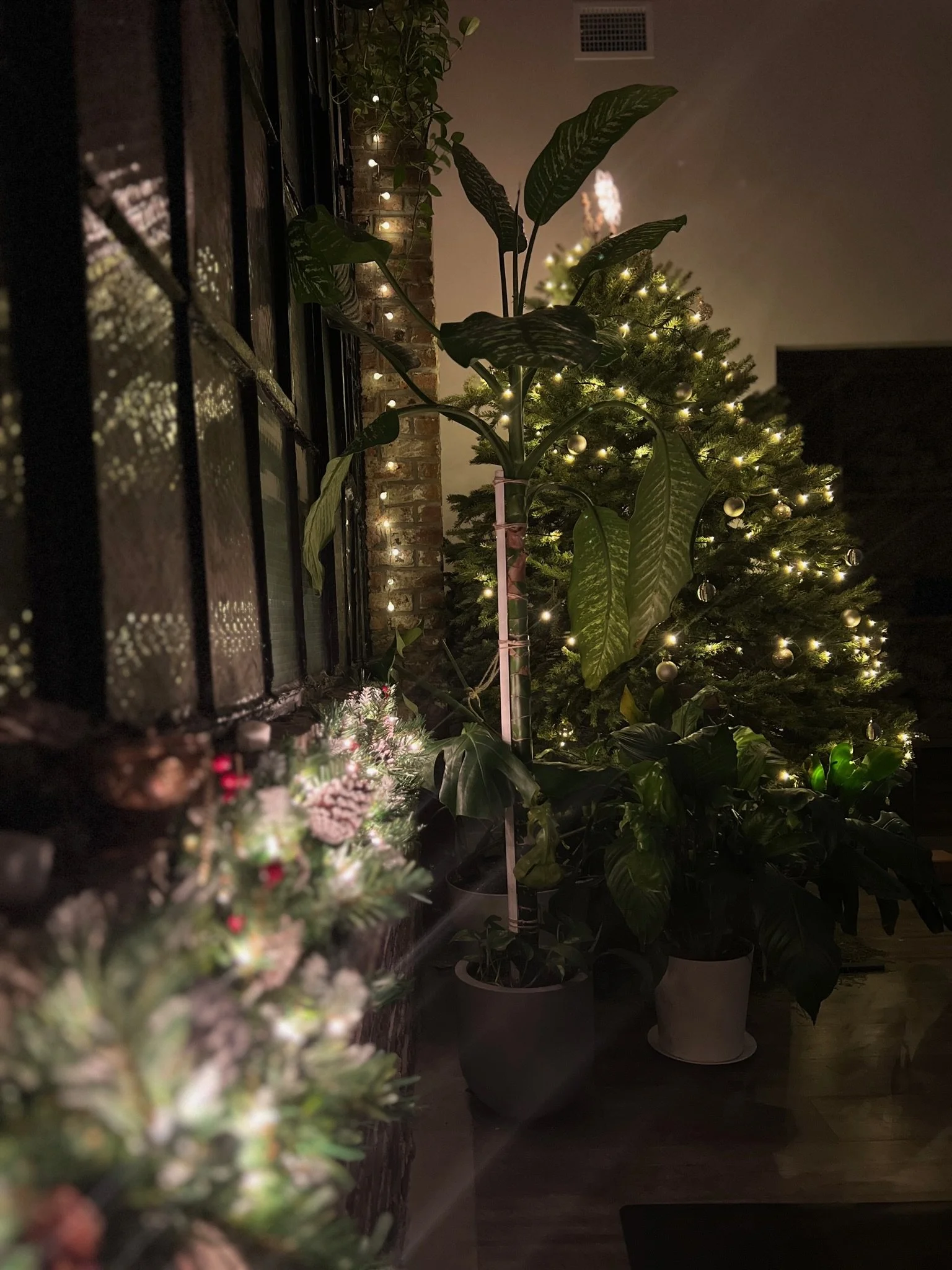 New Year's Eve Renewal