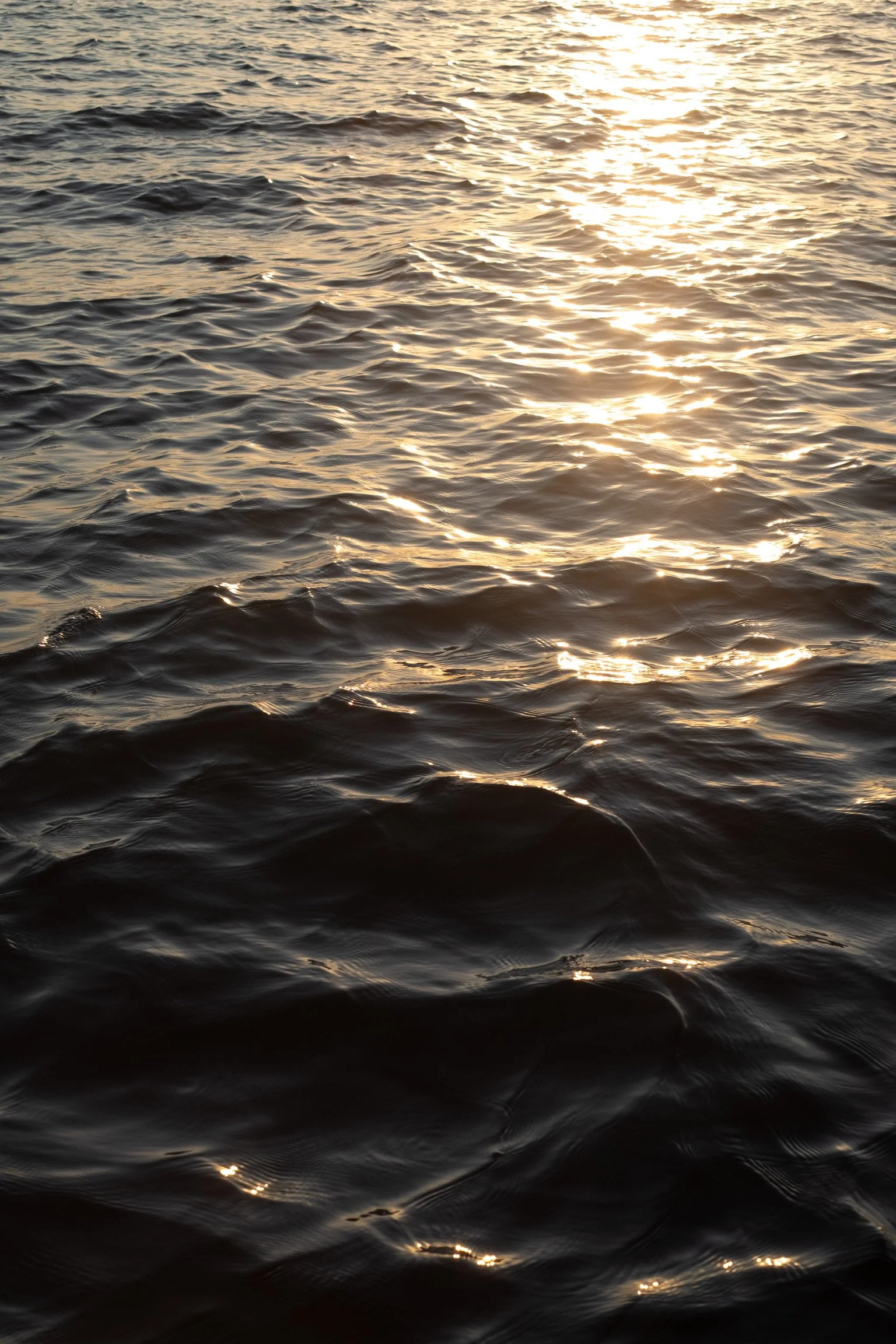 DSCF4734.JPG