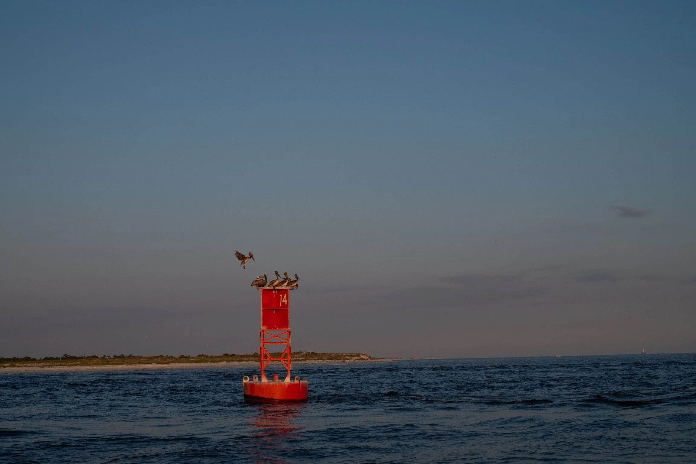DSCF4751.JPG