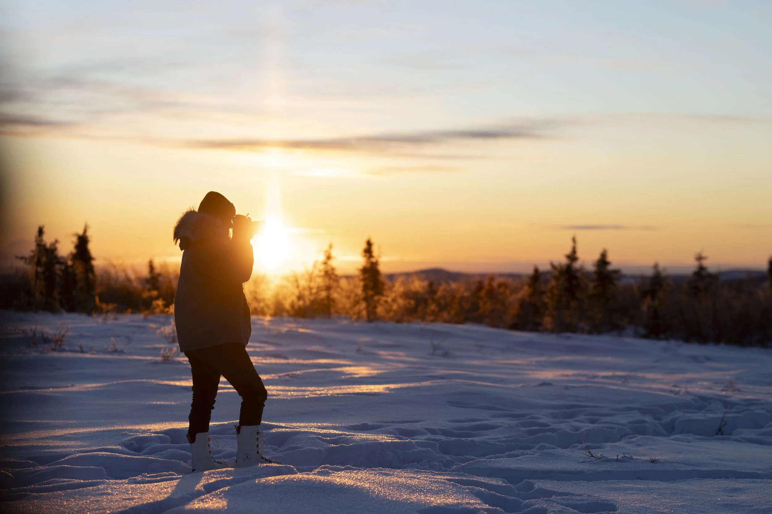 compressedImage (16).jpeg