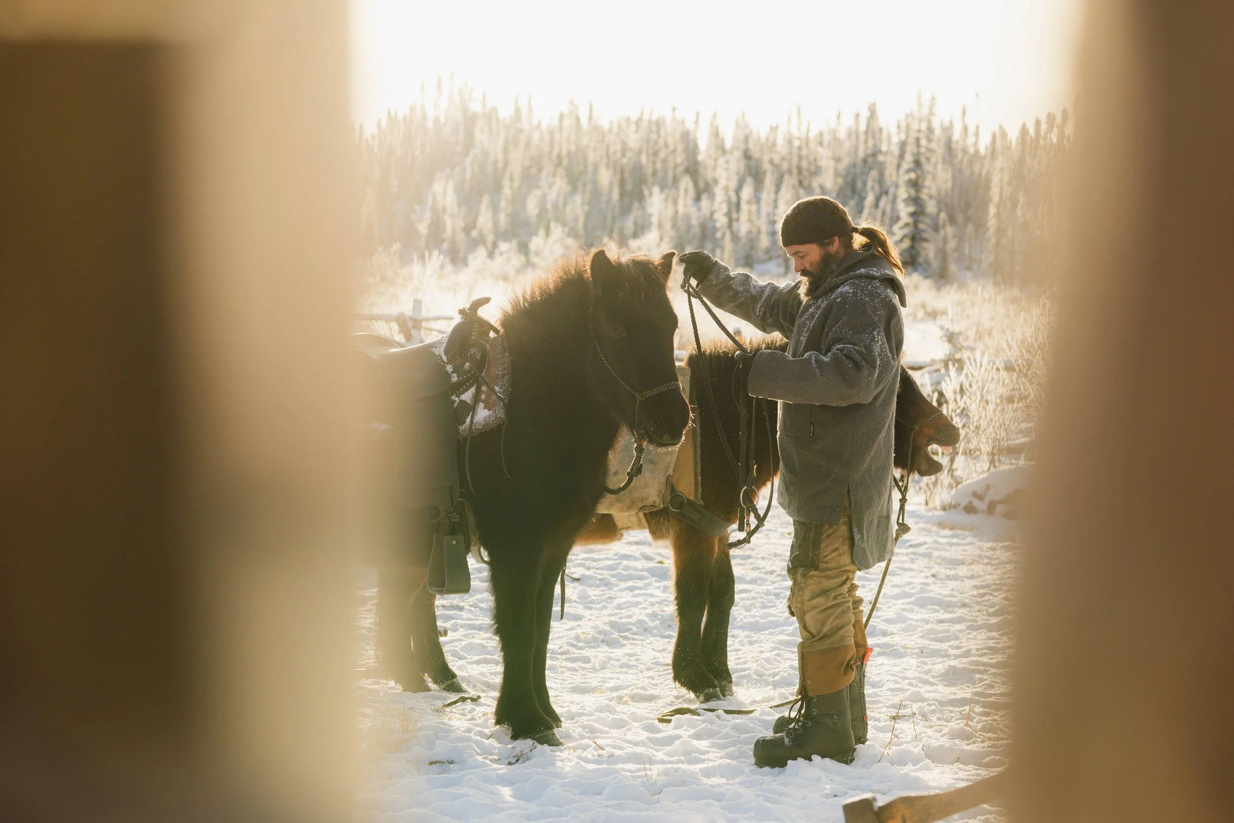 compressedImage (5).jpeg